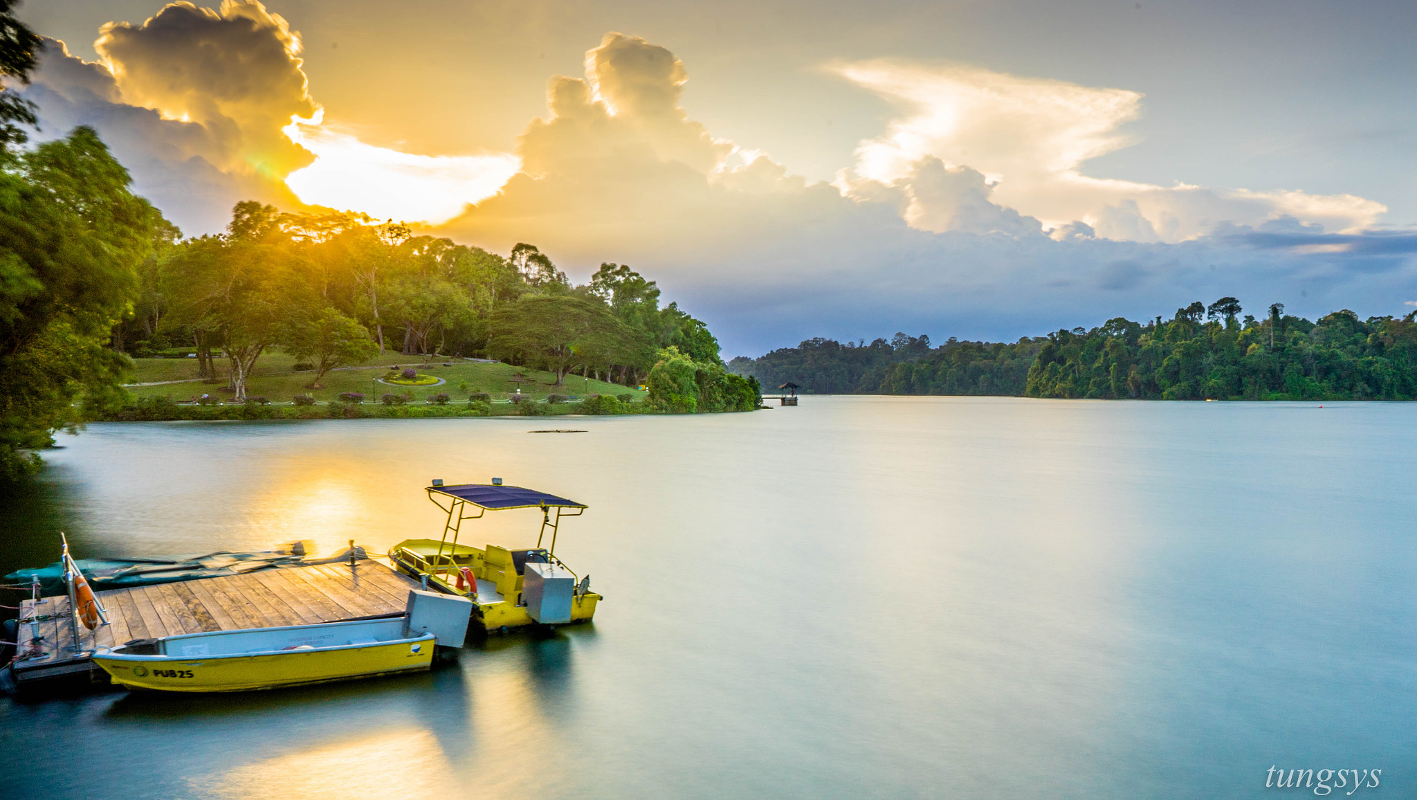 Sony a7 + ZEISS Batis 25mm F2 sample photo. Sunset on macritchie singapore photography