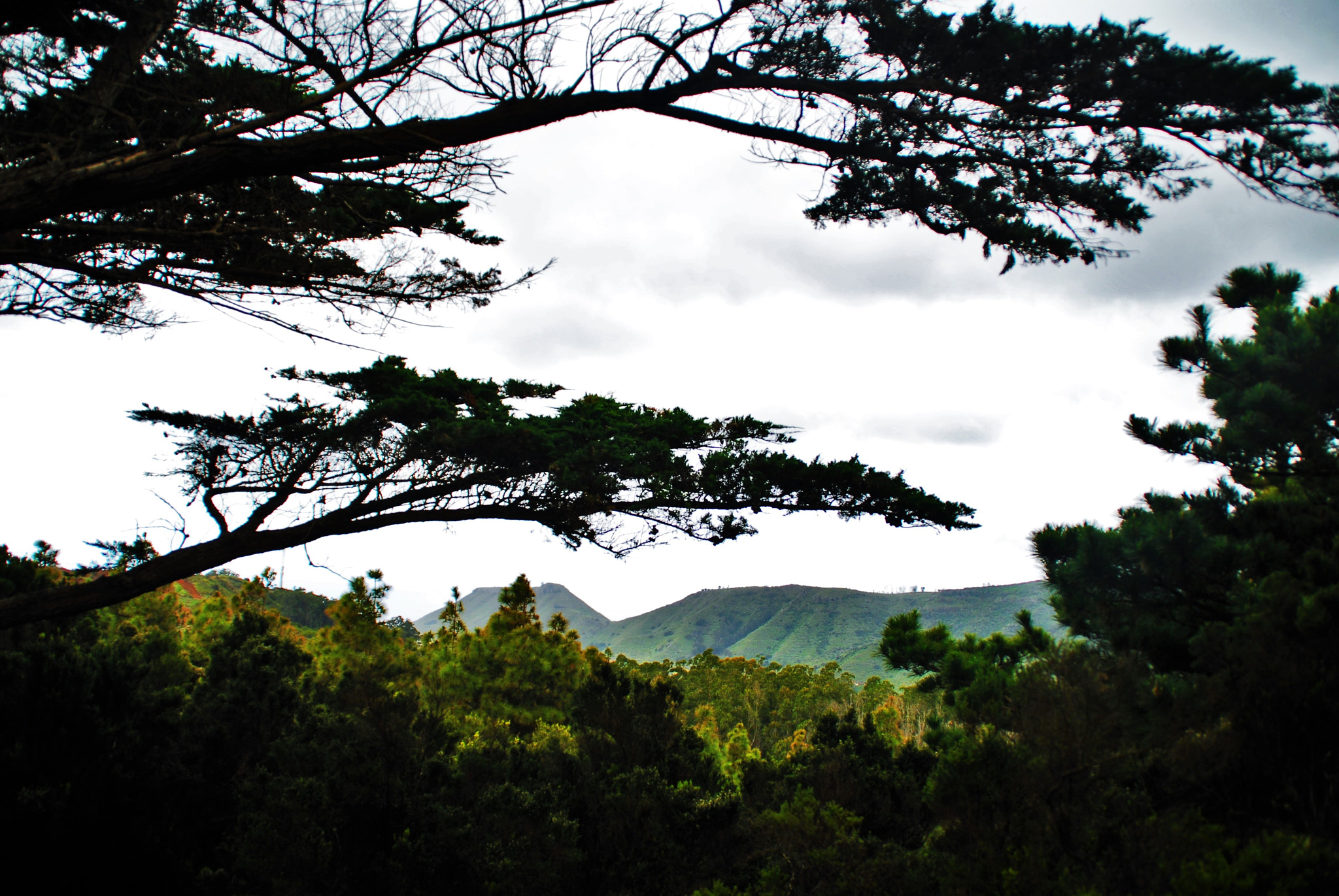 Nikon D200 sample photo. () photography