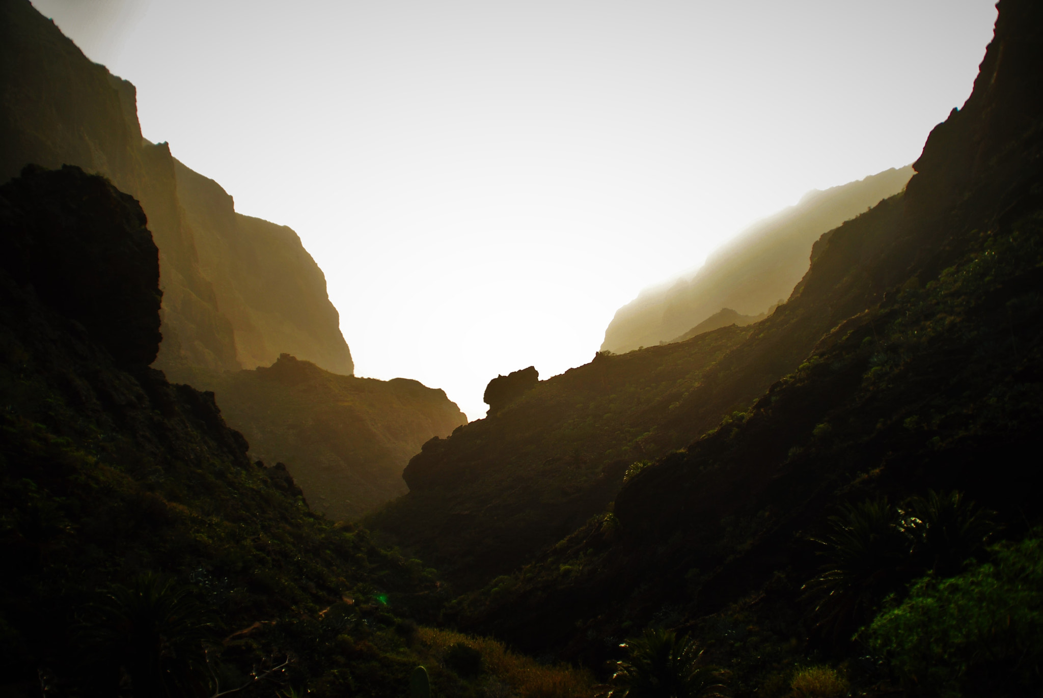 Nikon D200 sample photo. () photography