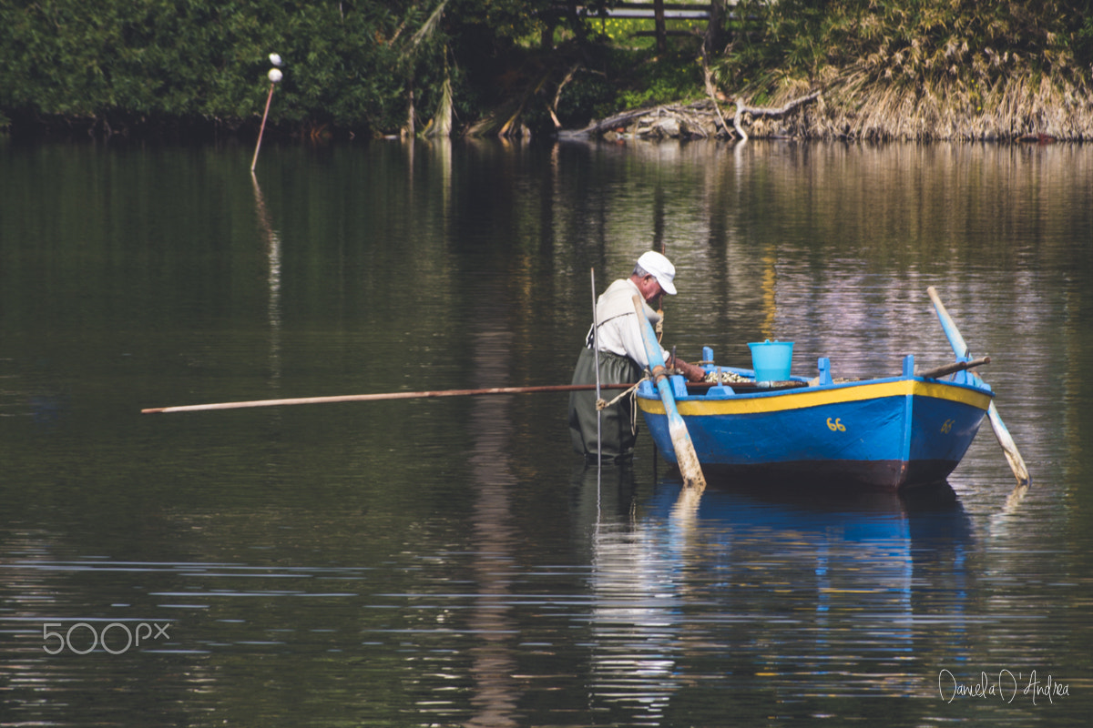 Nikon D610 + Sigma 55-200mm F4-5.6 DC sample photo. The fisherman photography