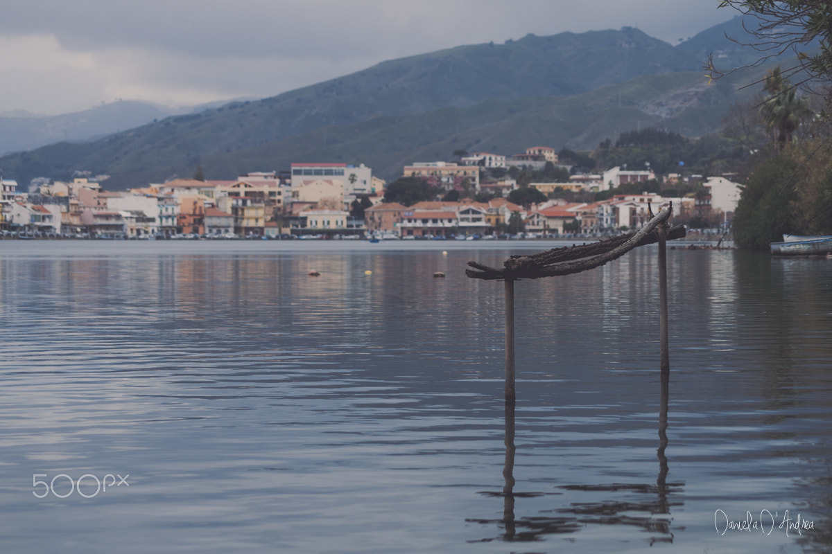 Nikon D610 + Sigma 55-200mm F4-5.6 DC sample photo. Late afternoon on the lake photography