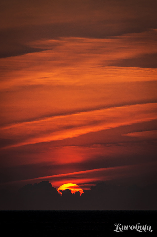 Pentax smc DA* 300mm F4.0 ED (IF) SDM sample photo. Picture drawn by the natural photography