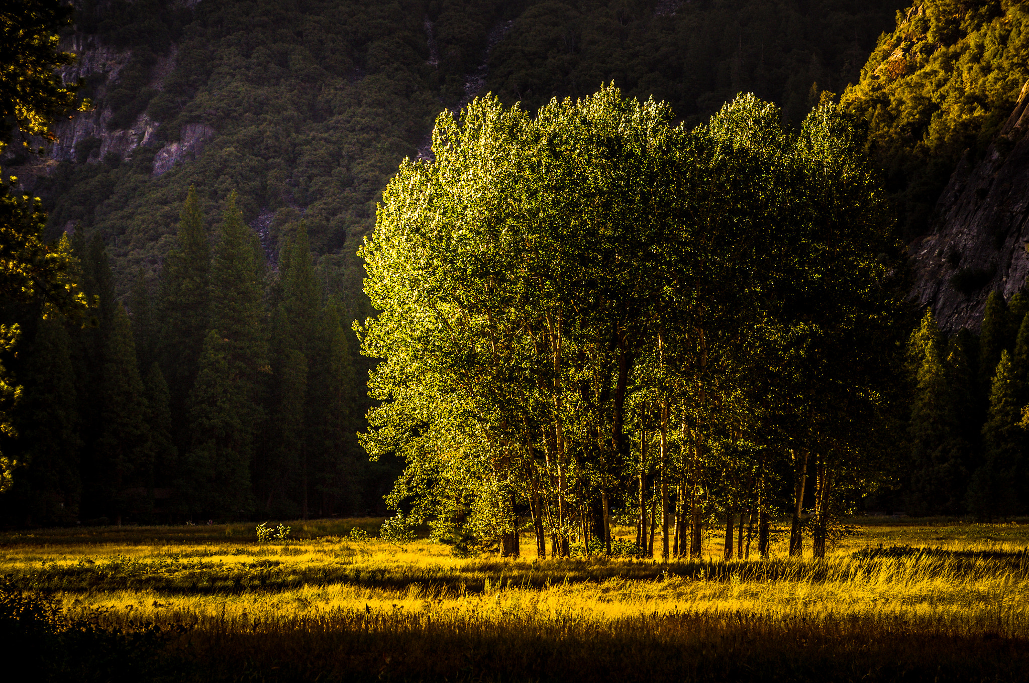 Pentax smc DA 17-70mm F4.0 AL (IF) SDM sample photo. Yosemite valley floor photography