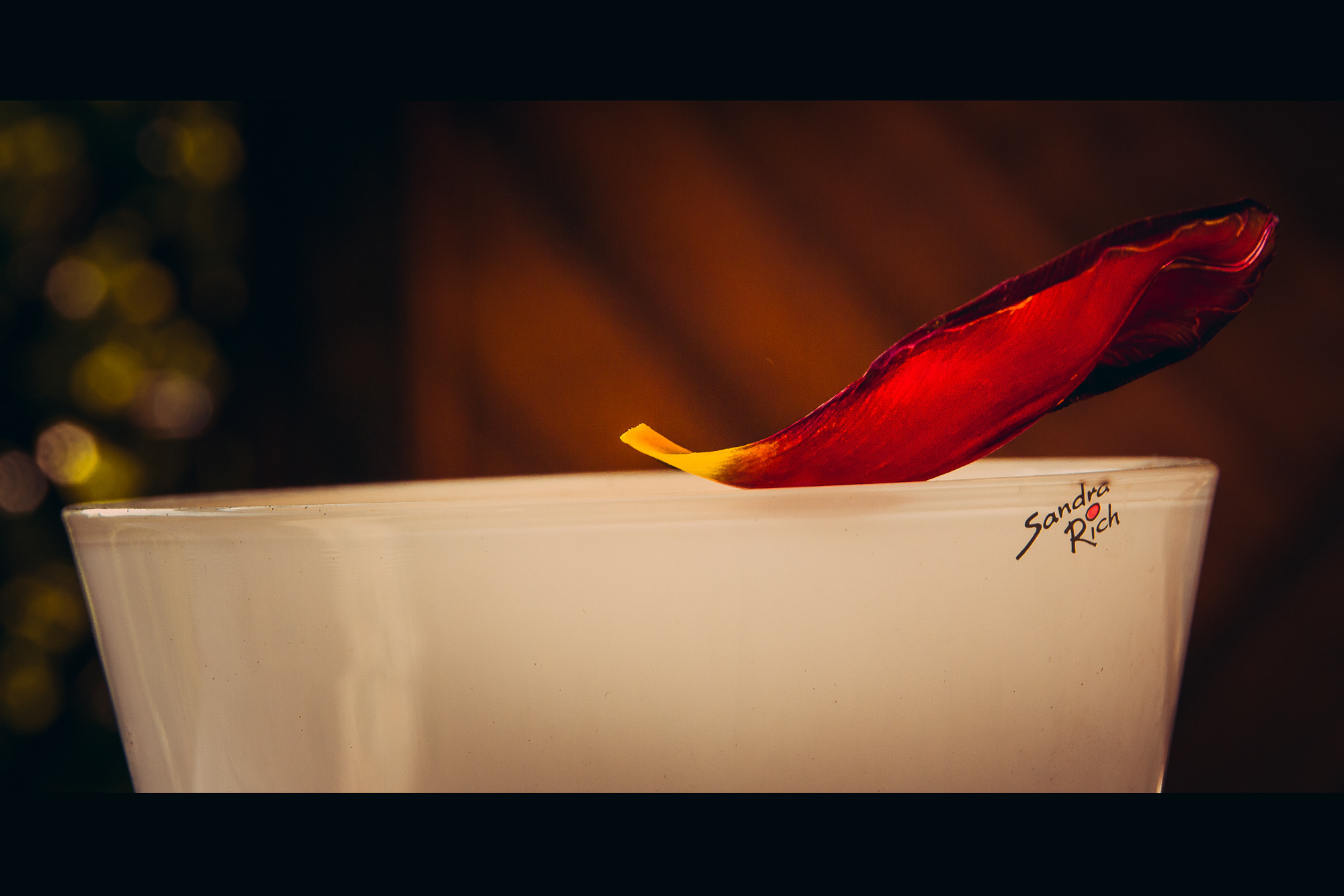 Sigma 18-250mm F3.5-6.3 DC OS HSM sample photo. Red tulips leaf photography