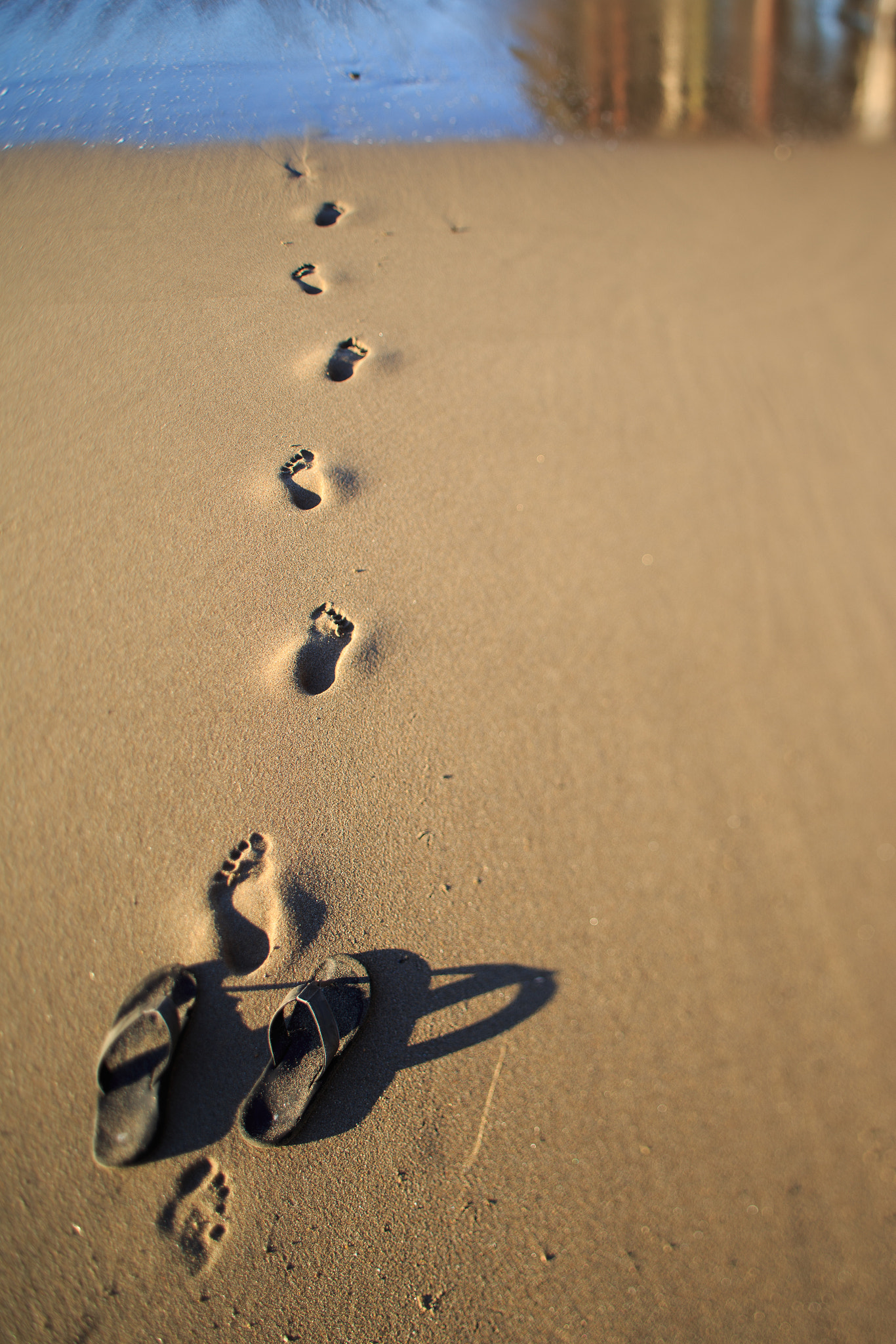 Canon TS-E 24mm f/3.5L sample photo. To the ocean photography