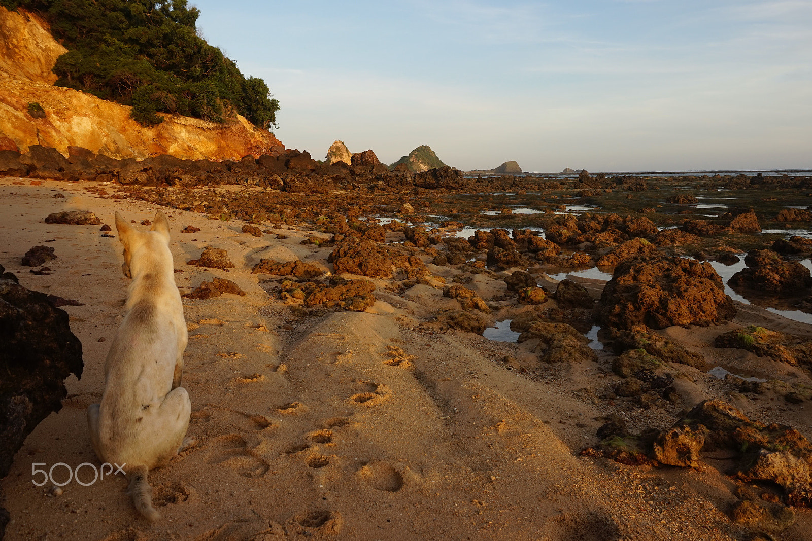 Sony Alpha a5000 (ILCE 5000) + Sony E 16-50mm F3.5-5.6 PZ OSS sample photo. Sunset at low tide photography