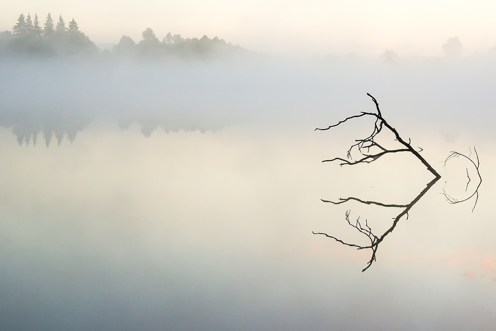 Tamron AF 28-75mm F2.8 XR Di LD Aspherical (IF) sample photo. Symmetry. almost ... photography