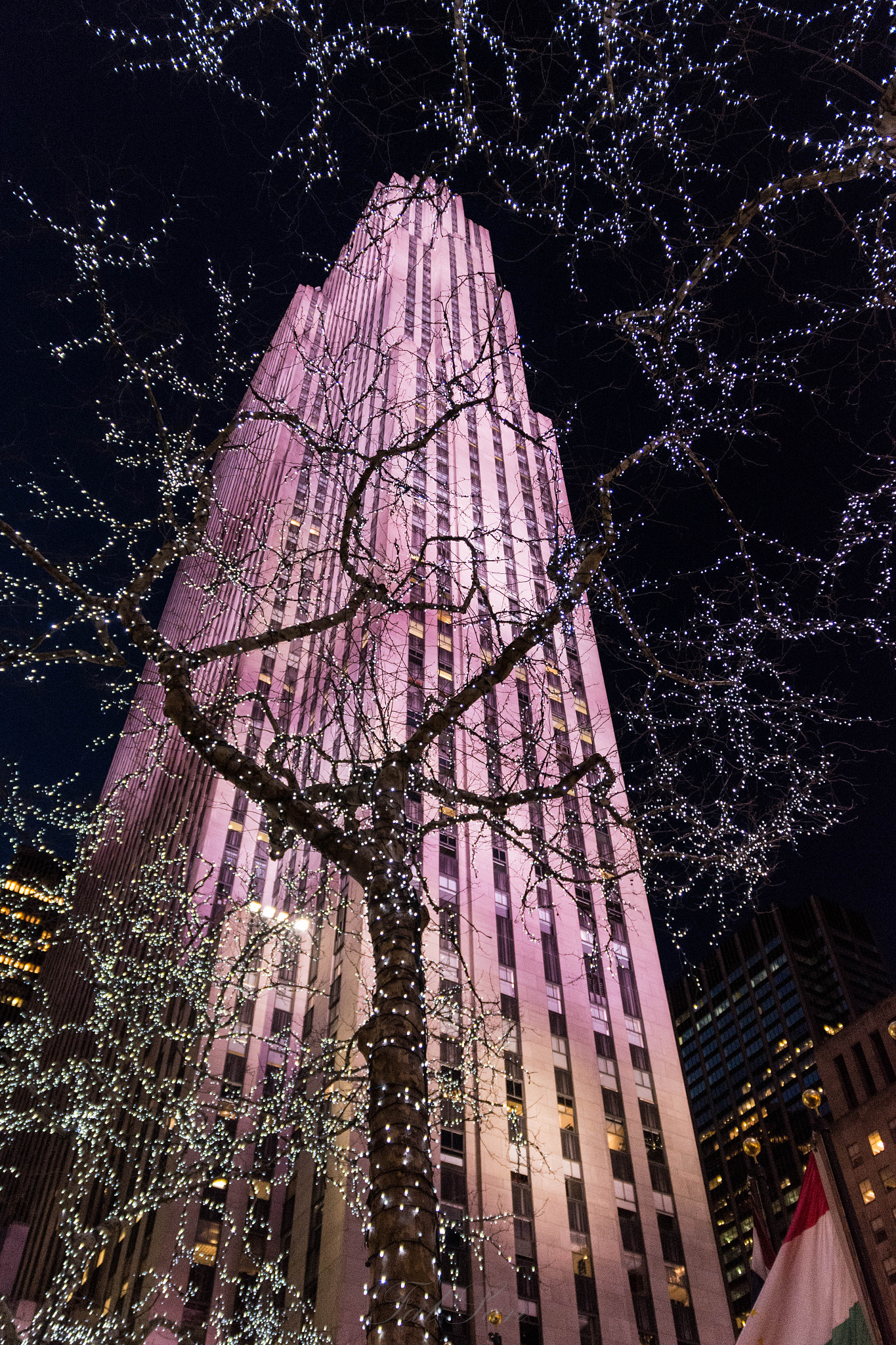 Nikon D7200 + Sigma 17-70mm F2.8-4 DC Macro OS HSM | C sample photo. Rockfeller center photography