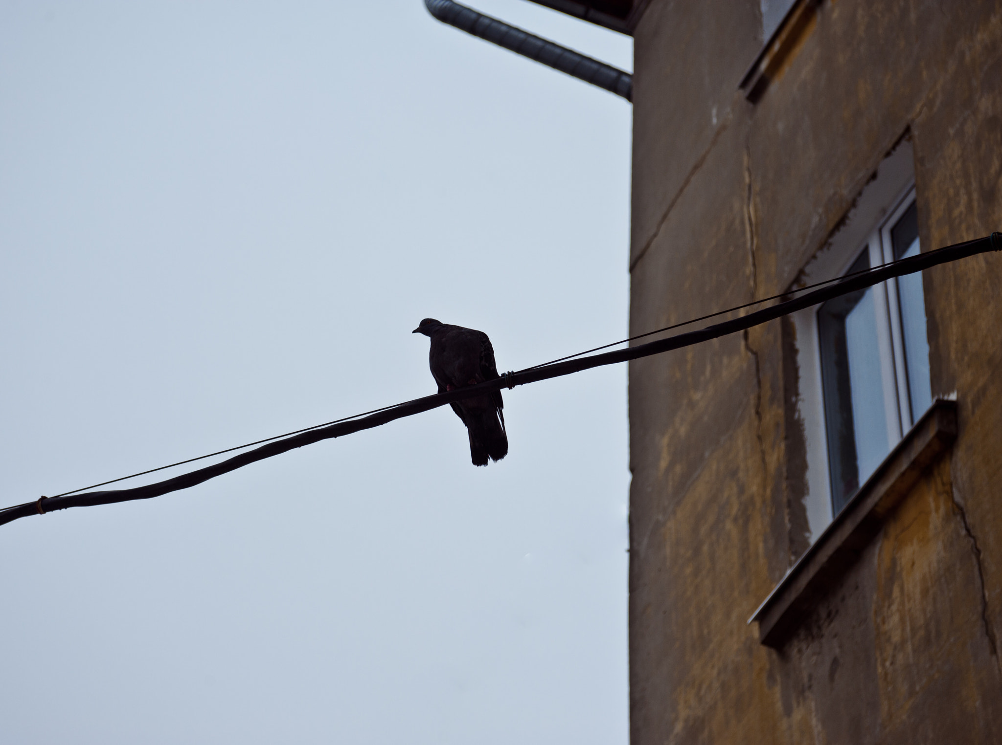 AF Zoom-Nikkor 28-85mm f/3.5-4.5 sample photo. R photography