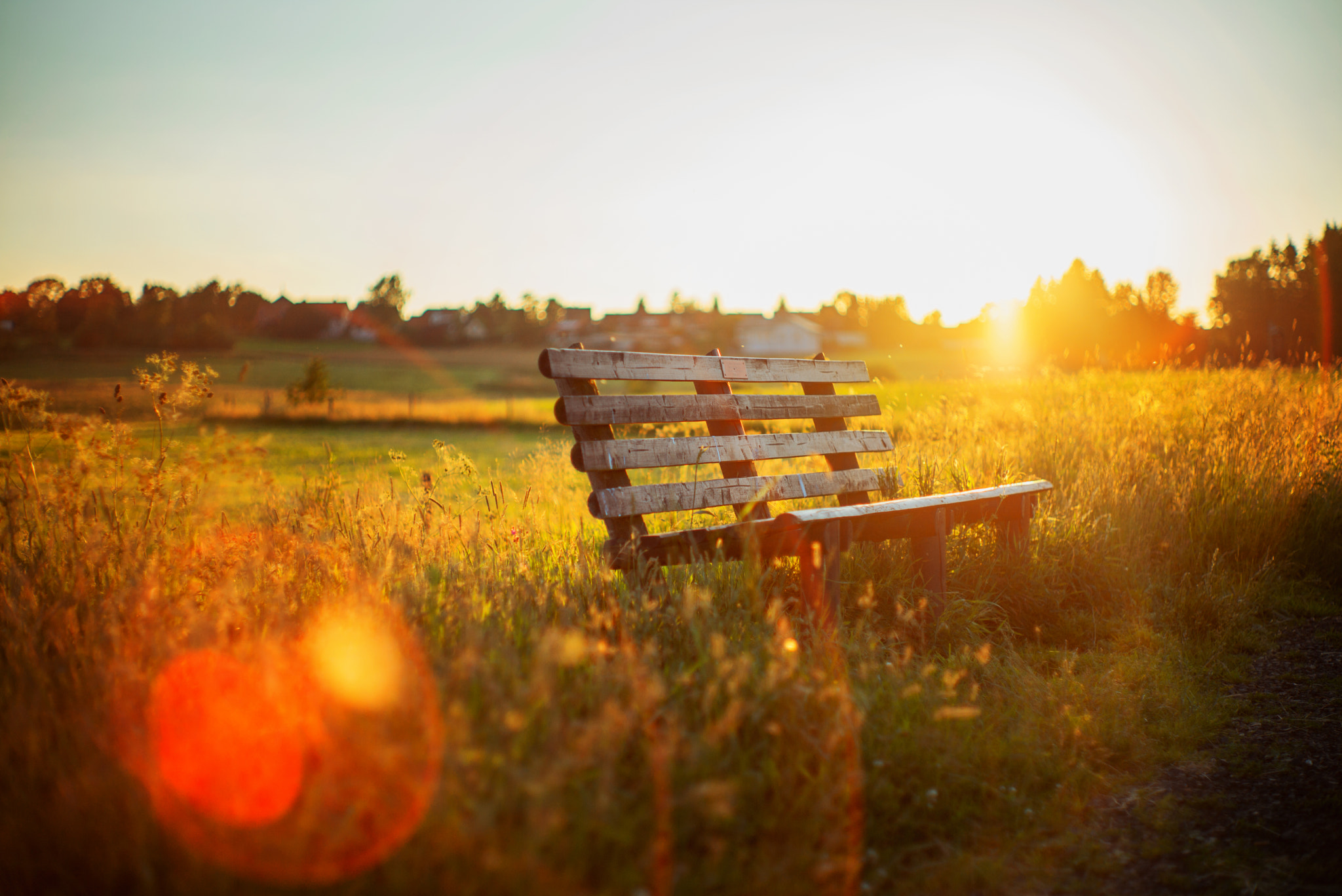 Summilux-M 1:1.4/50 sample photo. Golden evening photography