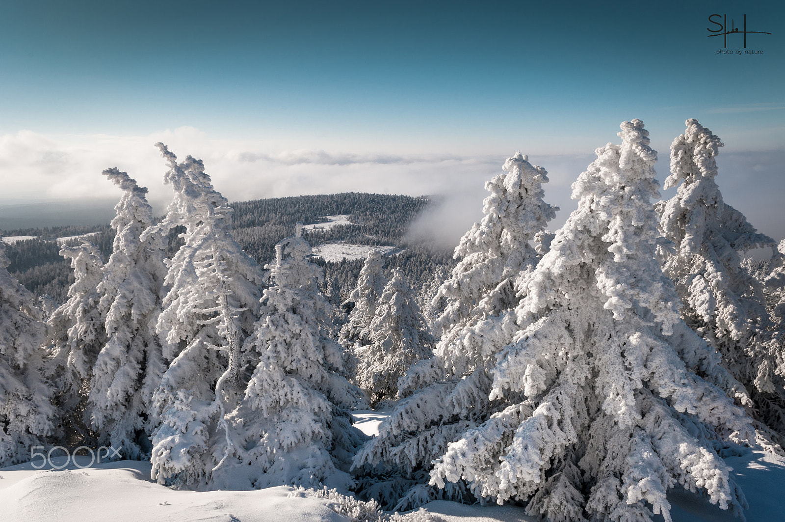 Nikon D300 + Sigma 18-50mm F2.8-4.5 DC OS HSM sample photo. Winterland photography