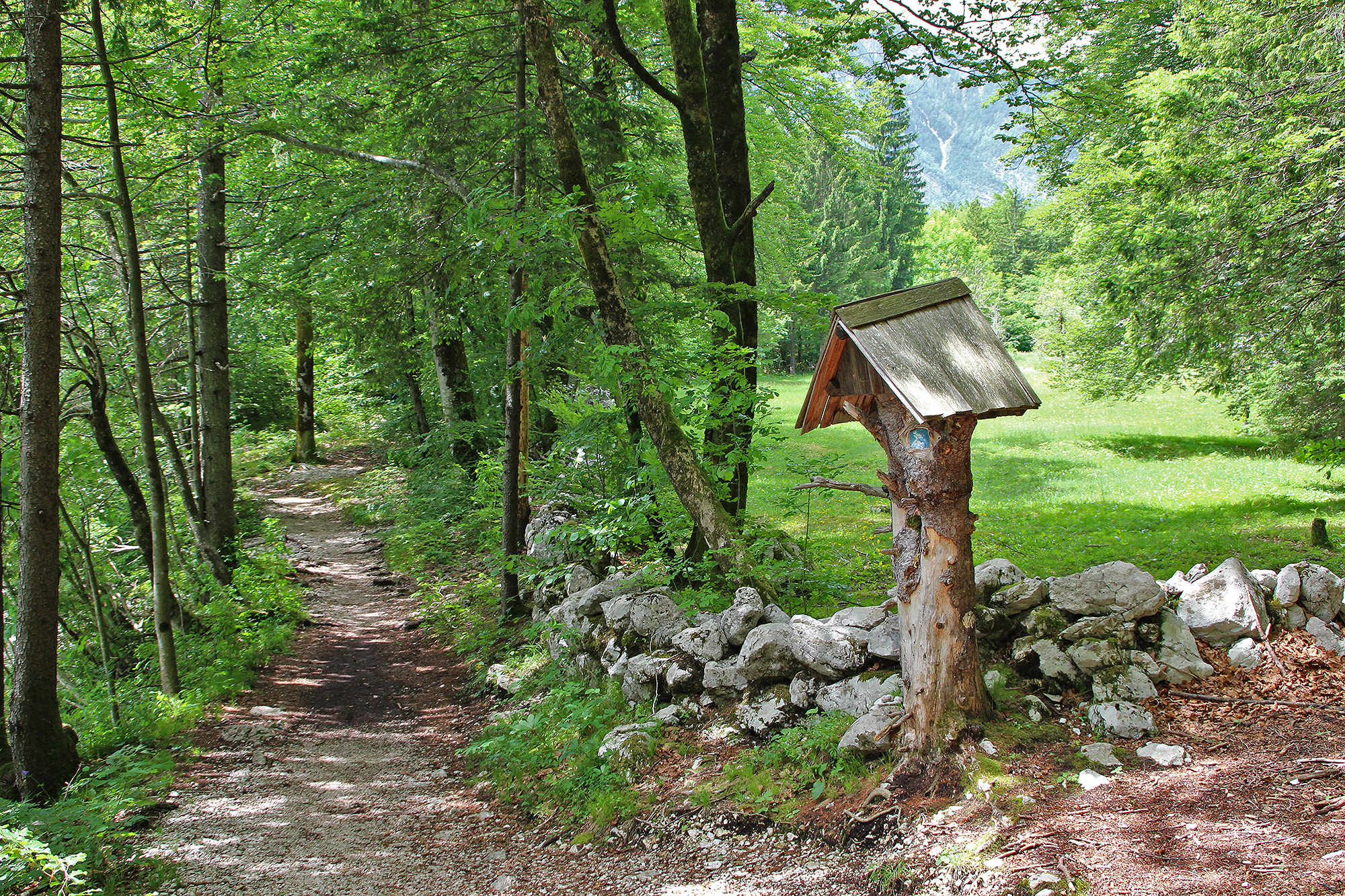 Canon EOS 600D (Rebel EOS T3i / EOS Kiss X5) sample photo. Bohinj photography