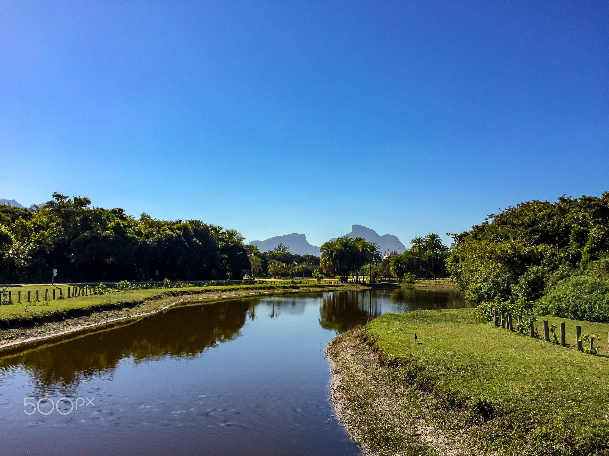 Bosque da Barra II