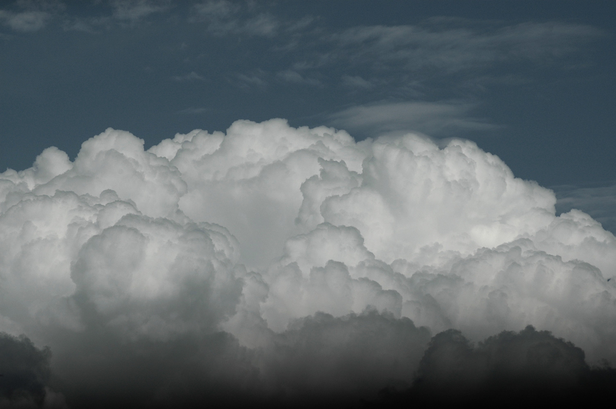 Nikon D70 sample photo. 39 photography