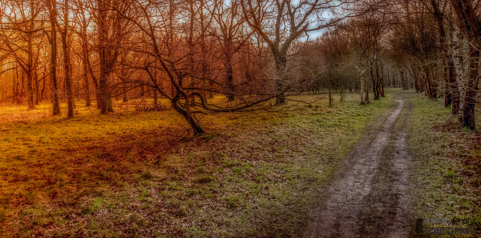 Sigma 17-70mm F2.8-4 DC Macro OS HSM sample photo. Path in the woods photography