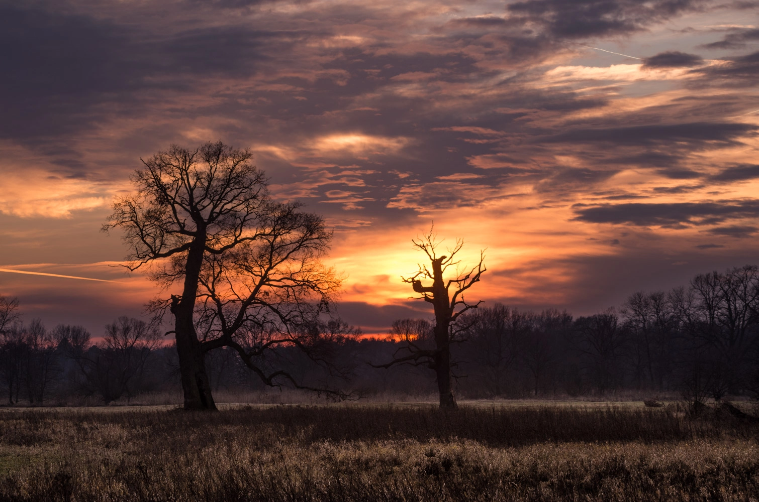 Pentax K-50 + Sigma sample photo. At the end of the day photography