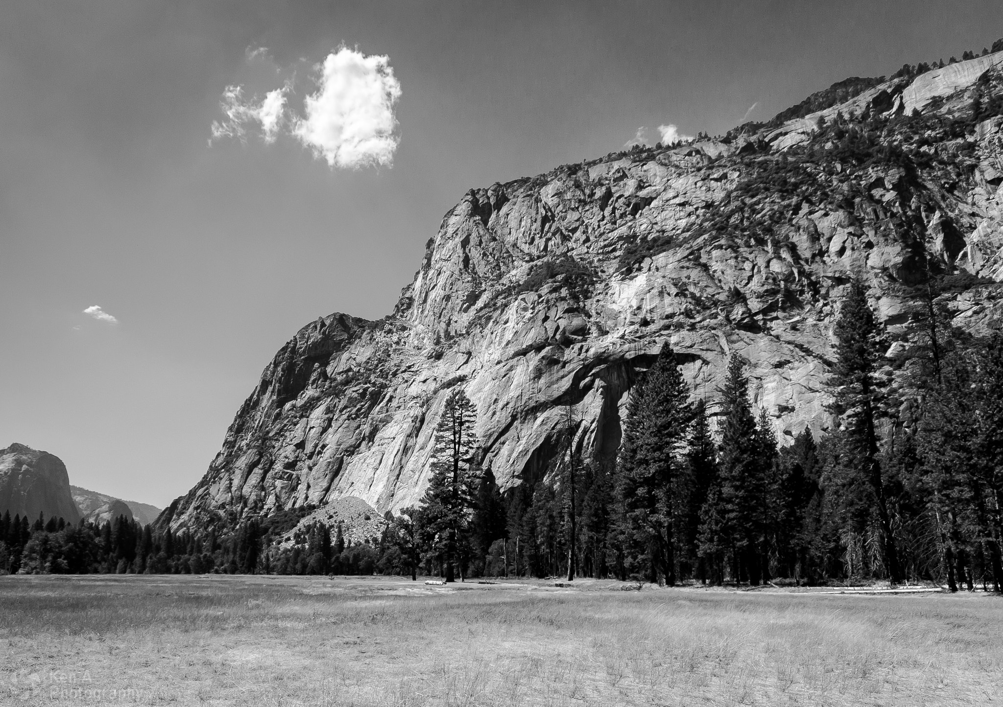 Canon EOS 1000D (EOS Digital Rebel XS / EOS Kiss F) + Sigma 10-20mm F4-5.6 EX DC HSM sample photo. Yosemite b/w photography