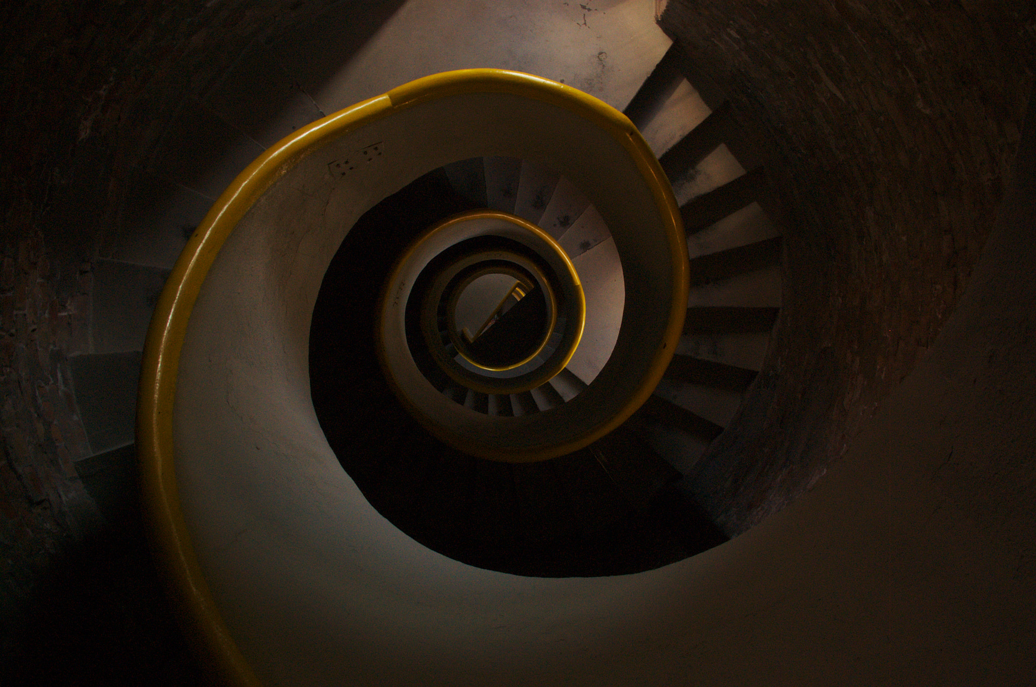 Sigma 18-125mm F3.8-5.6 DC OS HSM sample photo. Snail photography