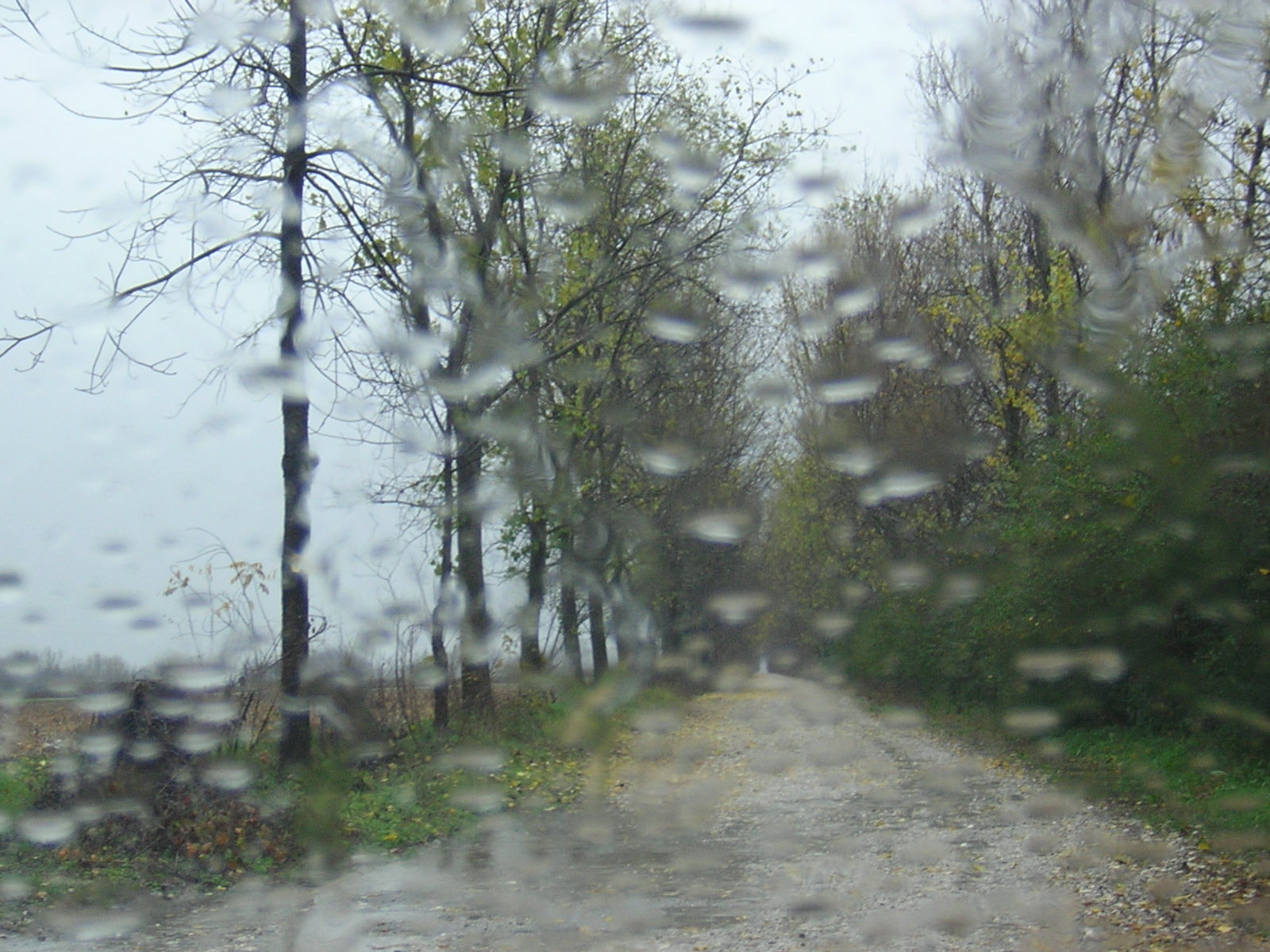 Nikon E2100 sample photo. Rainy day photography