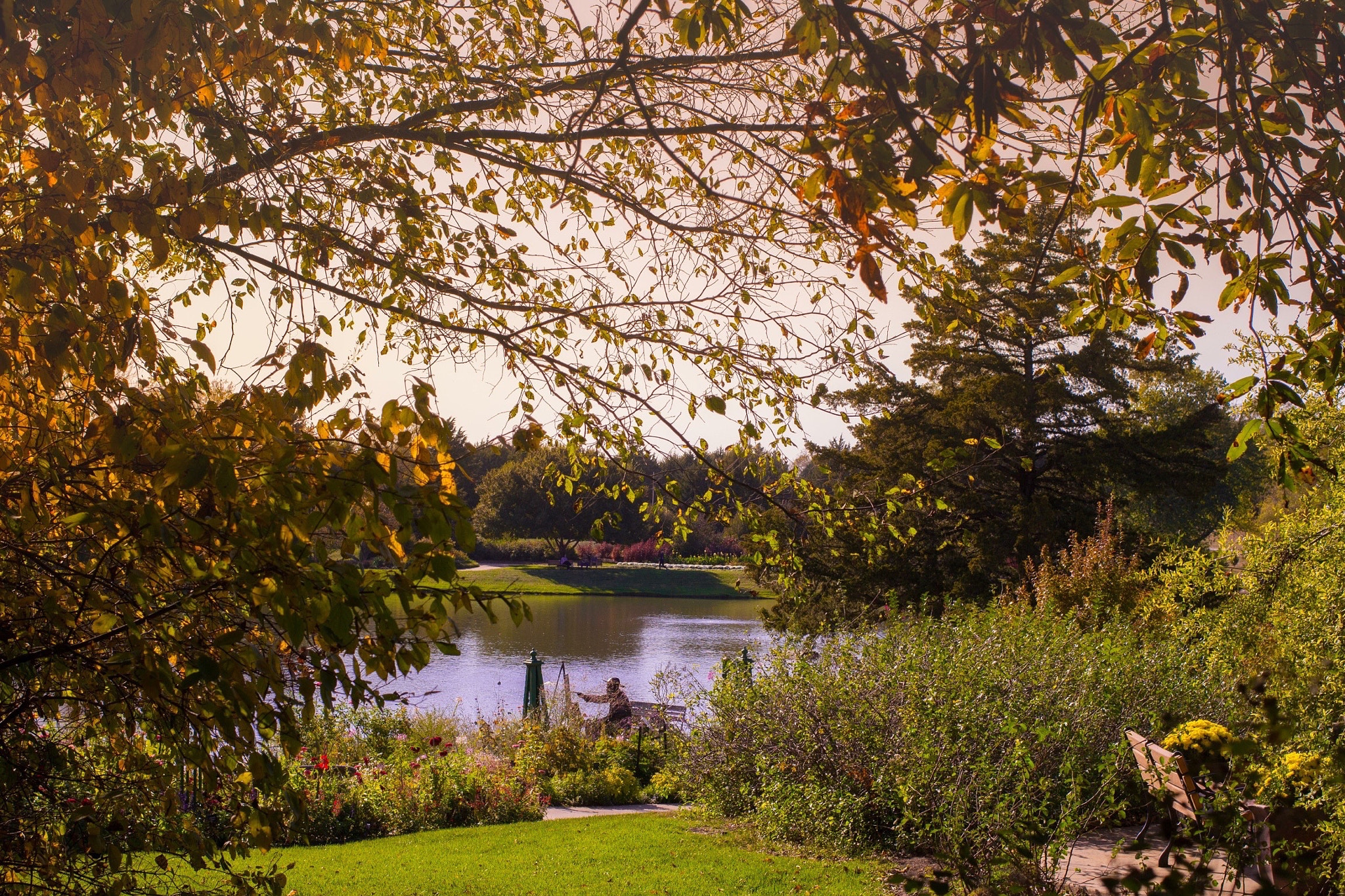Canon EF 40mm F2.8 STM sample photo. Calm fall afternoon @ overland park arboratrium photography