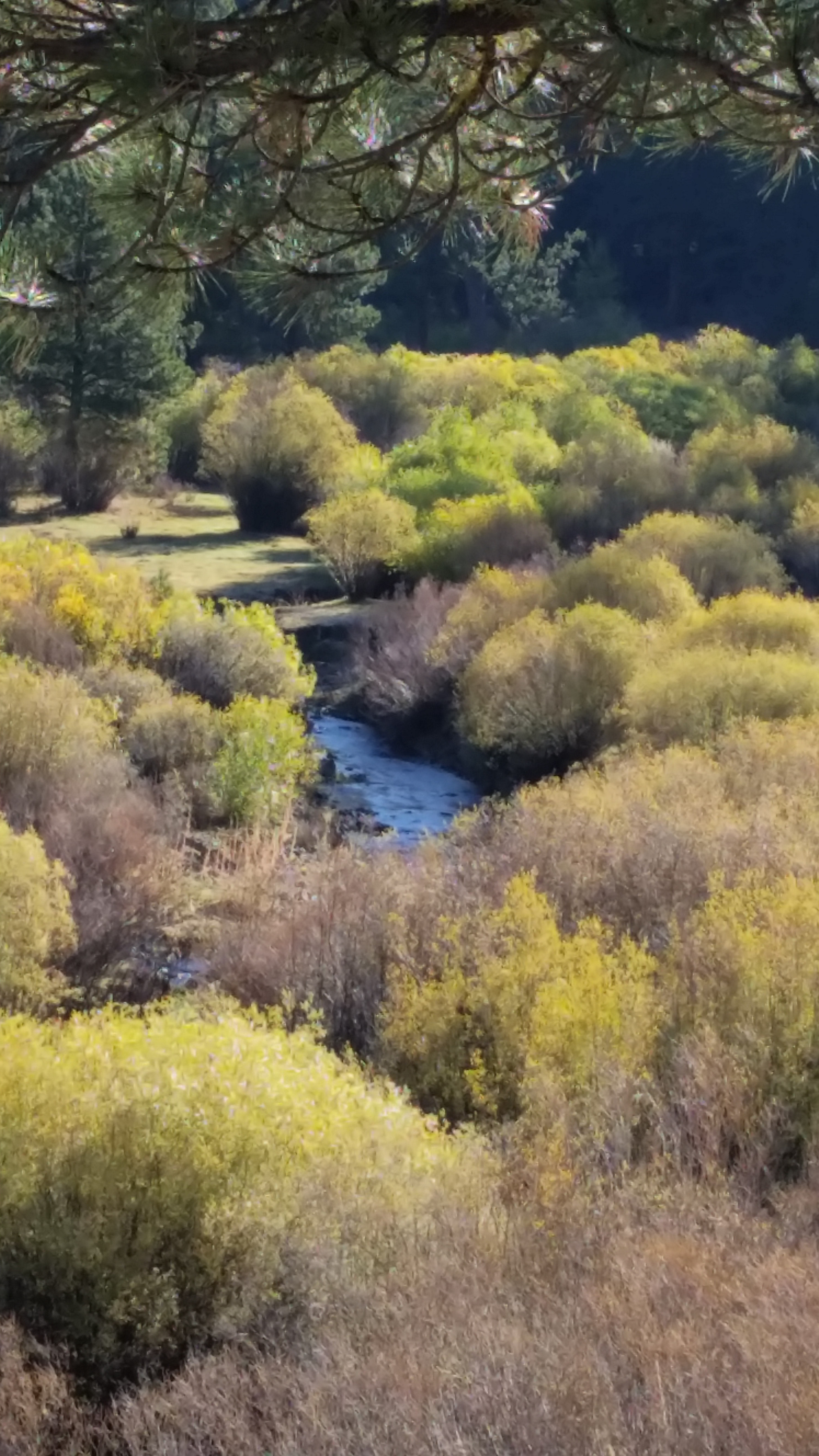Samsung Galaxy S5 K Sport sample photo. Aspens photography
