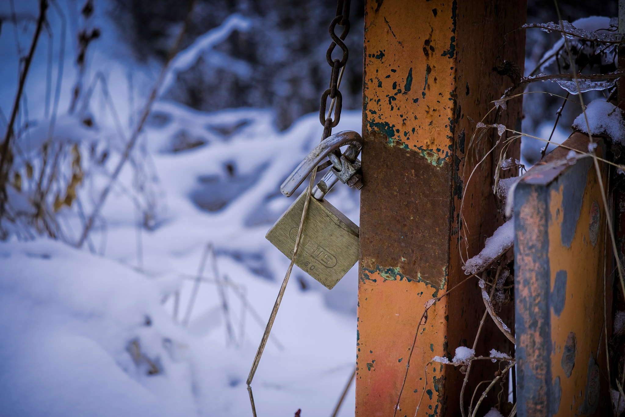 Fujifilm X-T10 + Fujifilm XC 50-230mm F4.5-6.7 OIS II sample photo. Lock the world photography