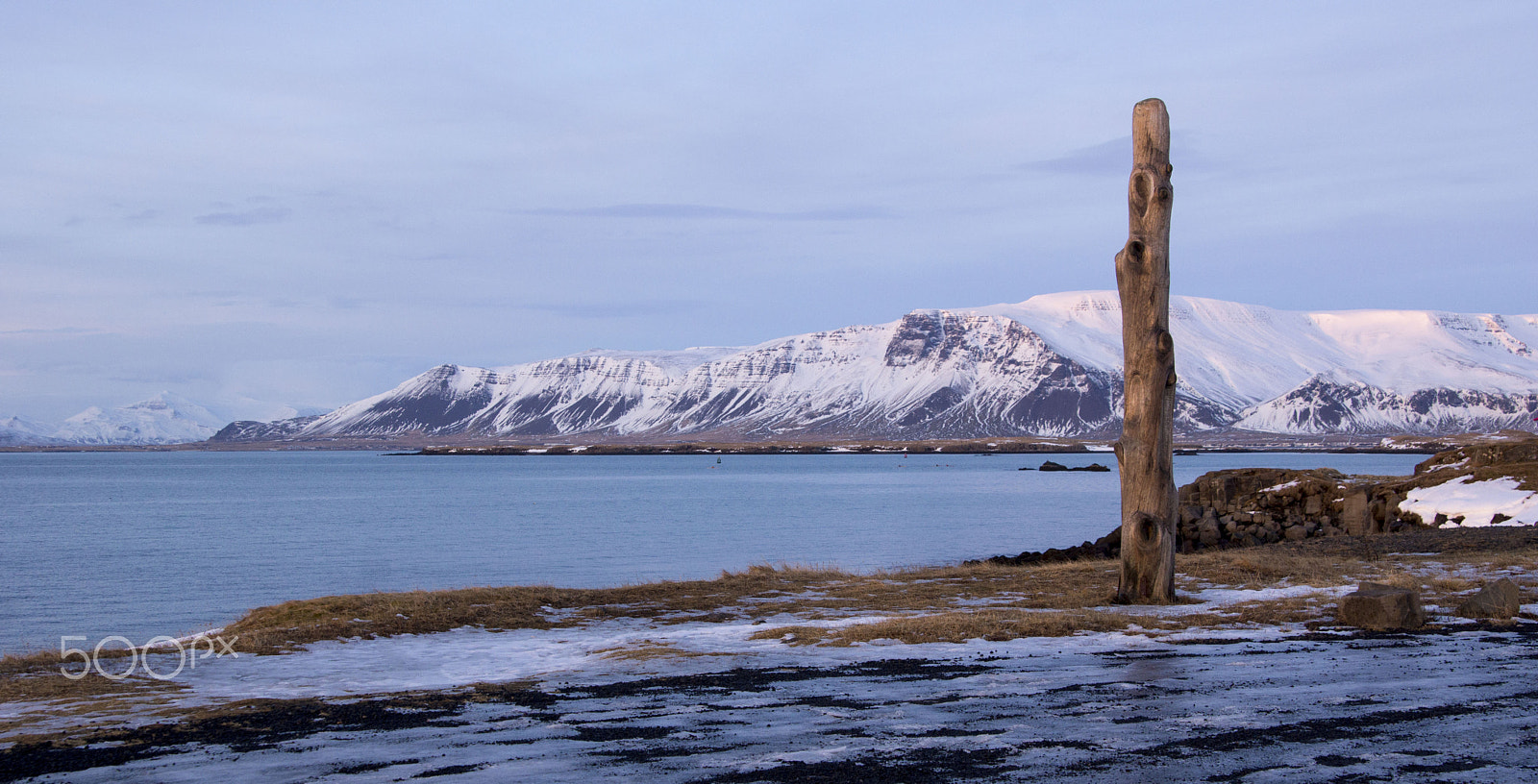 Sony SLT-A77 + Minolta AF 28-75mm F2.8 (D) sample photo. Tree sculpture, and ice, reykjavík photography