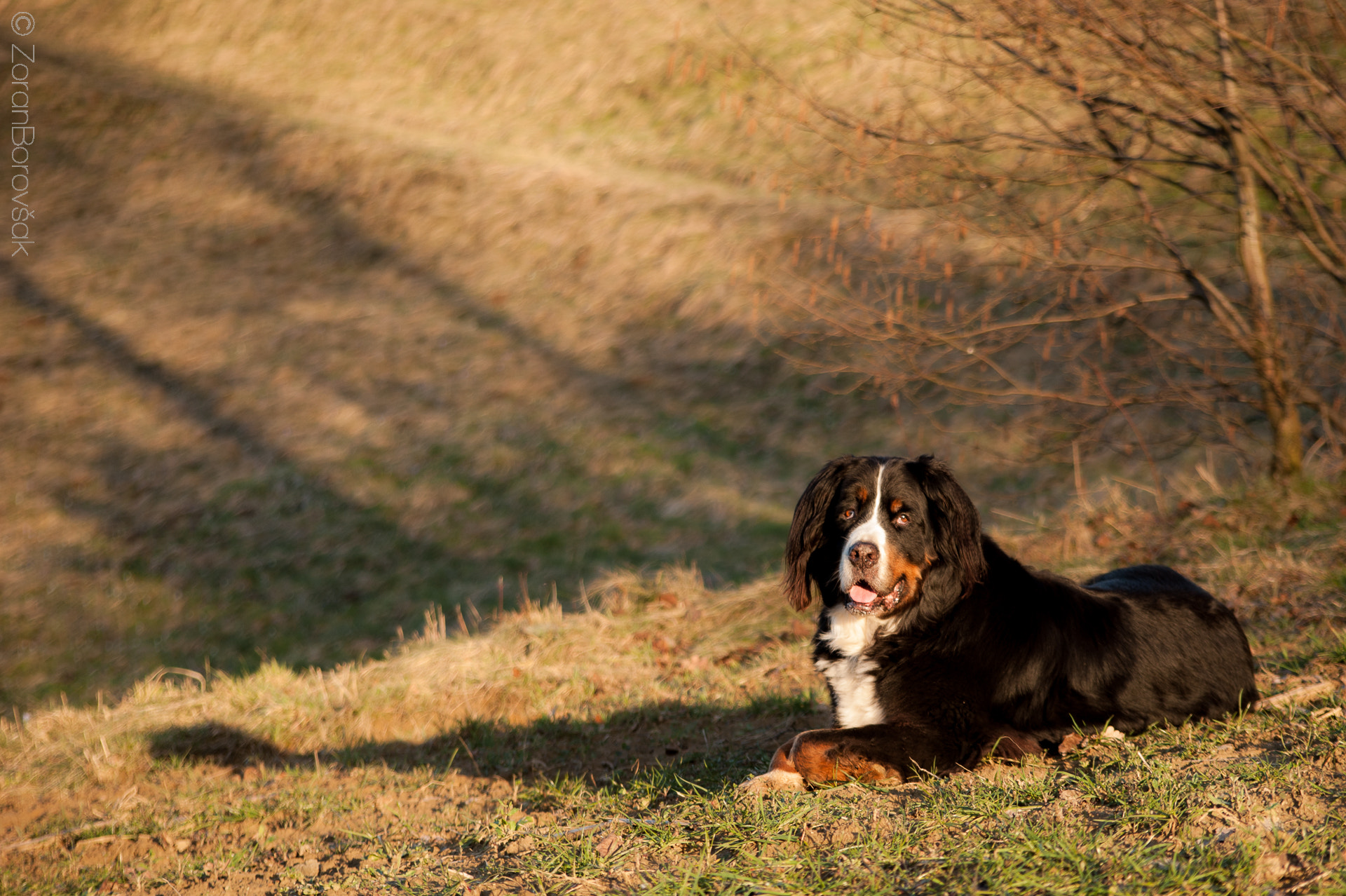 Nikon D700 + AF Zoom-Nikkor 35-105mm f/3.5-4.5 sample photo. Fun in the sun photography