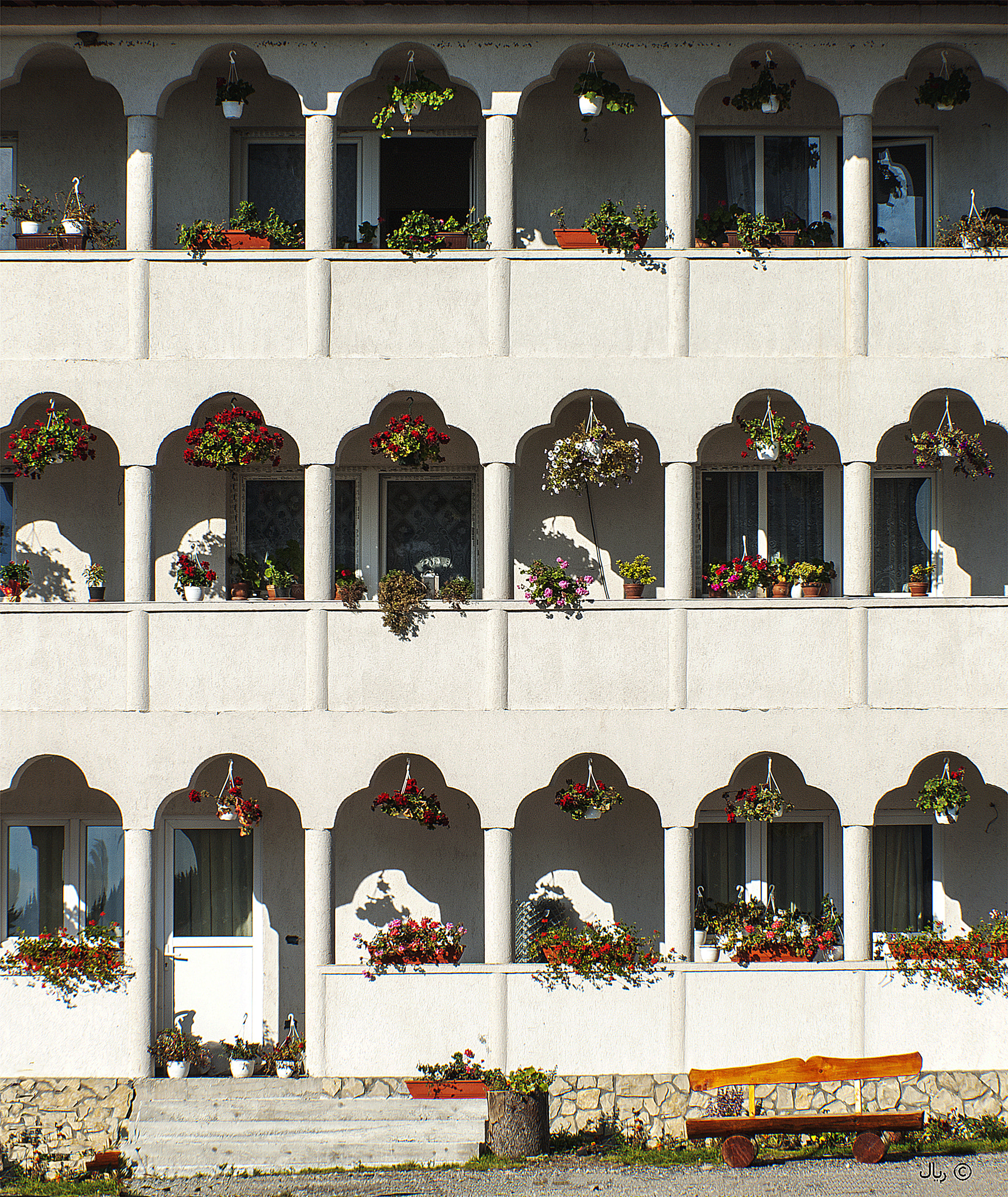 Nikon D200 sample photo. Dwell amongst of flowers photography