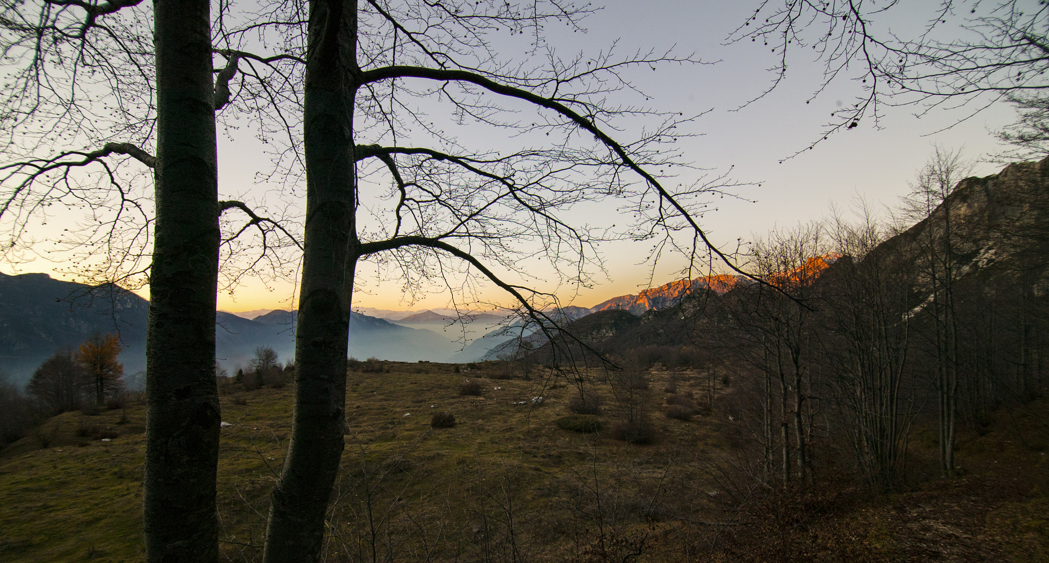 Canon EOS-1Ds sample photo. Between the trees photography