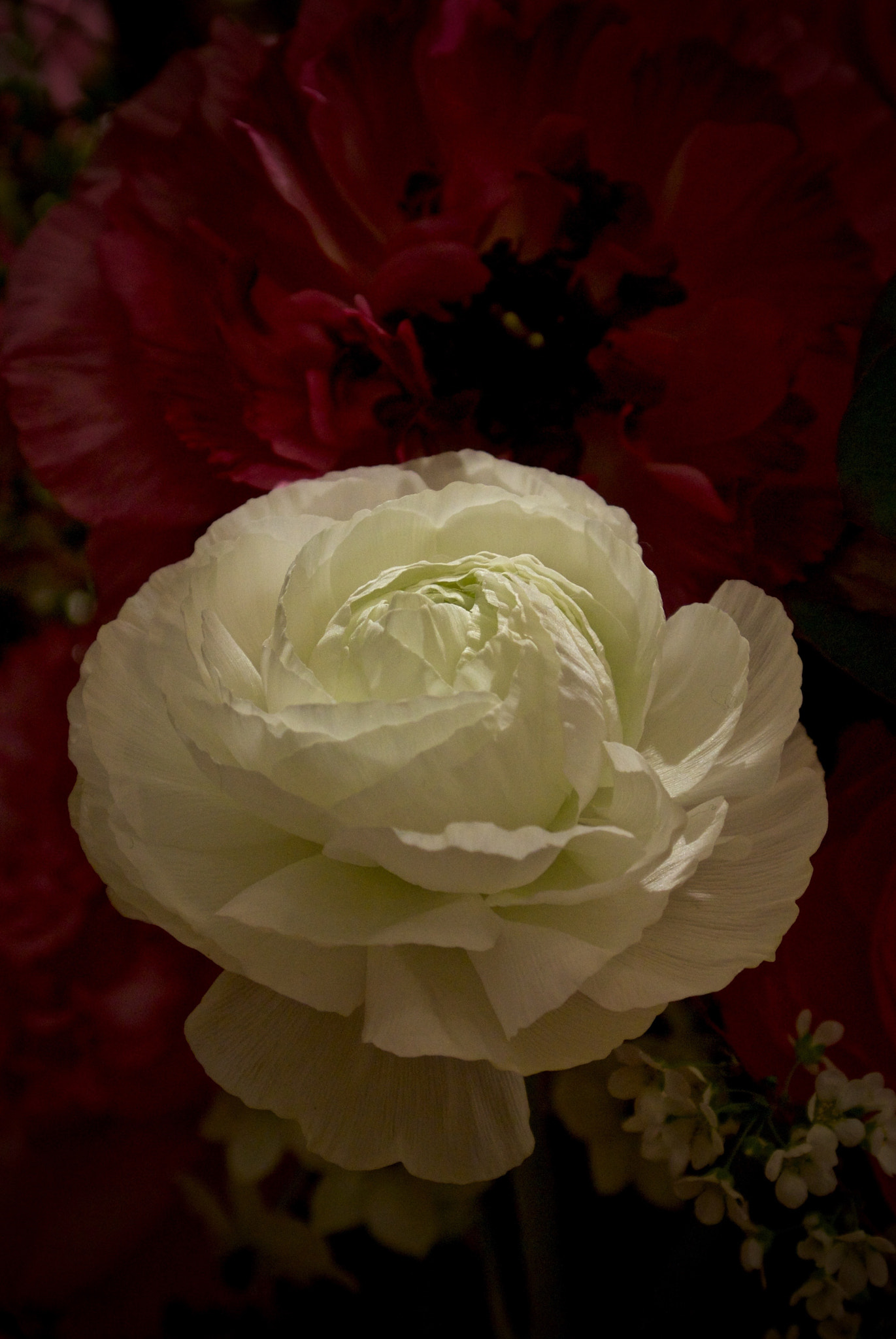 Nikon 1 J2 sample photo. Ikebana ranunculus photography