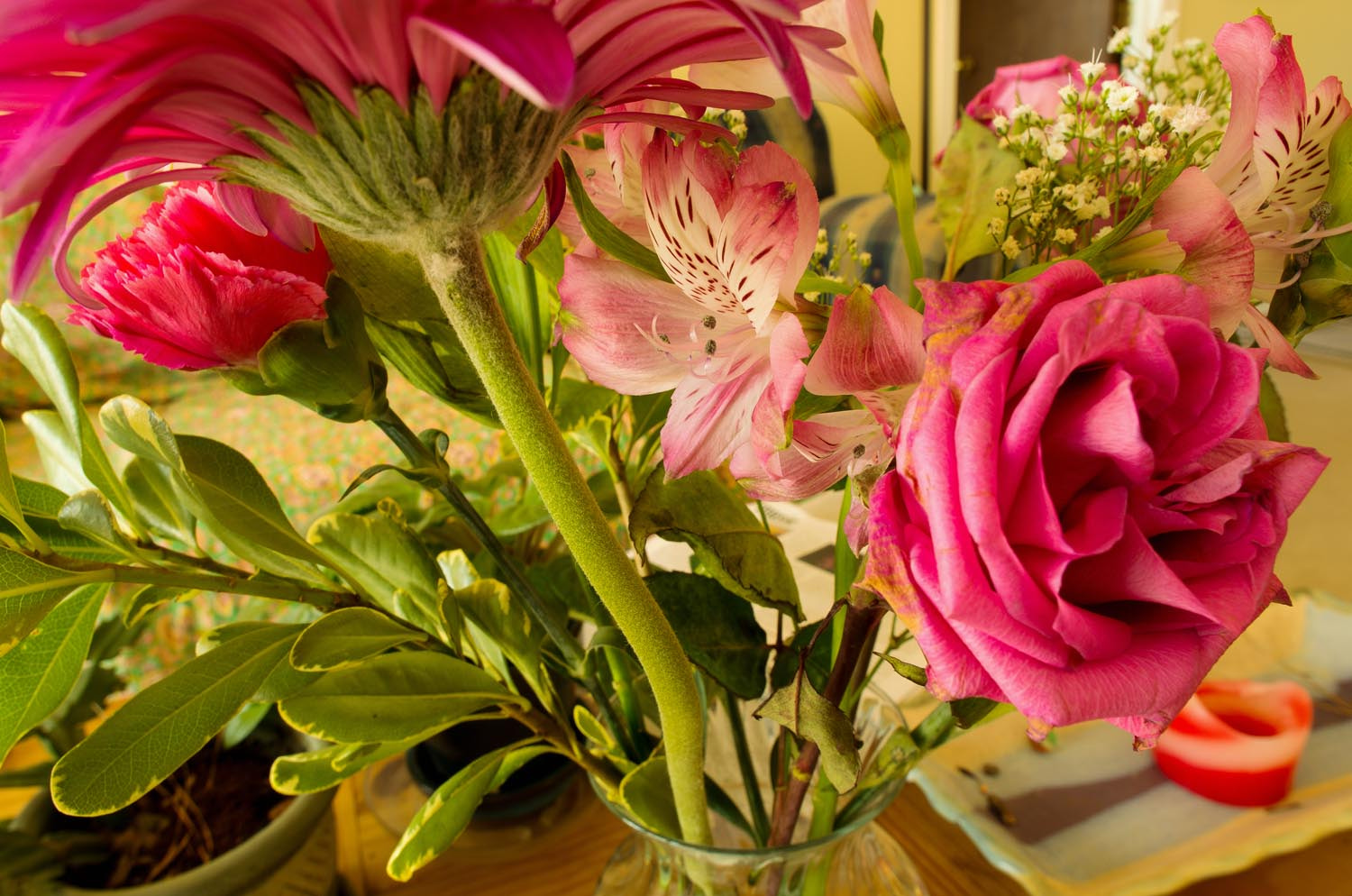 Pentax K-5 IIs + HD Pentax DA 15mm F4 ED AL Limited sample photo. Vase of flowers photography