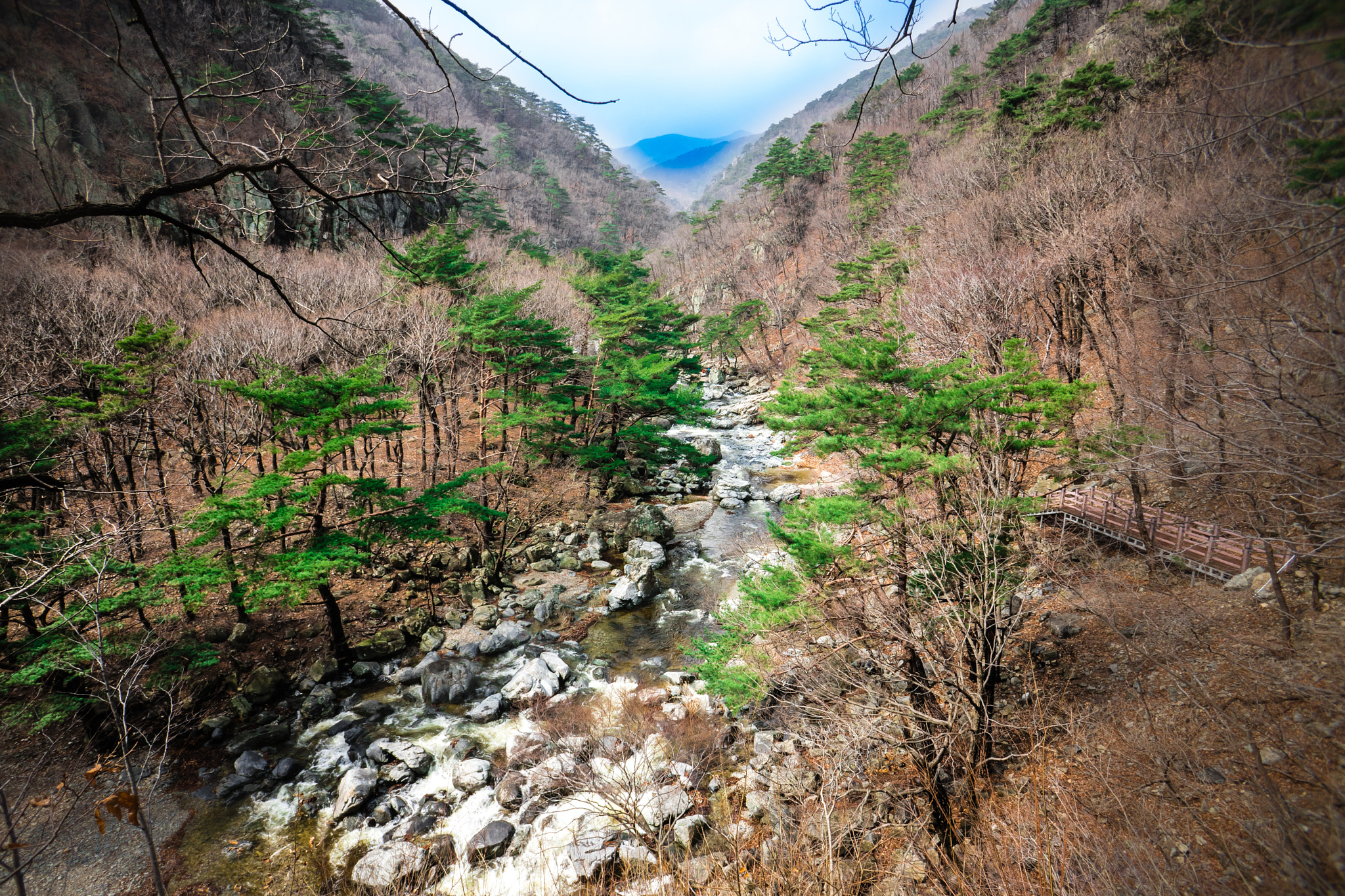 Sony a7 + Sony E 16mm F2.8 sample photo. Spring is coming photography