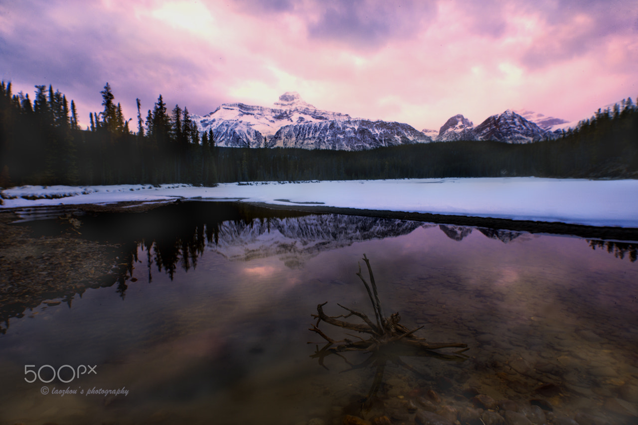 Nikon D3X sample photo. Athanasca river photography