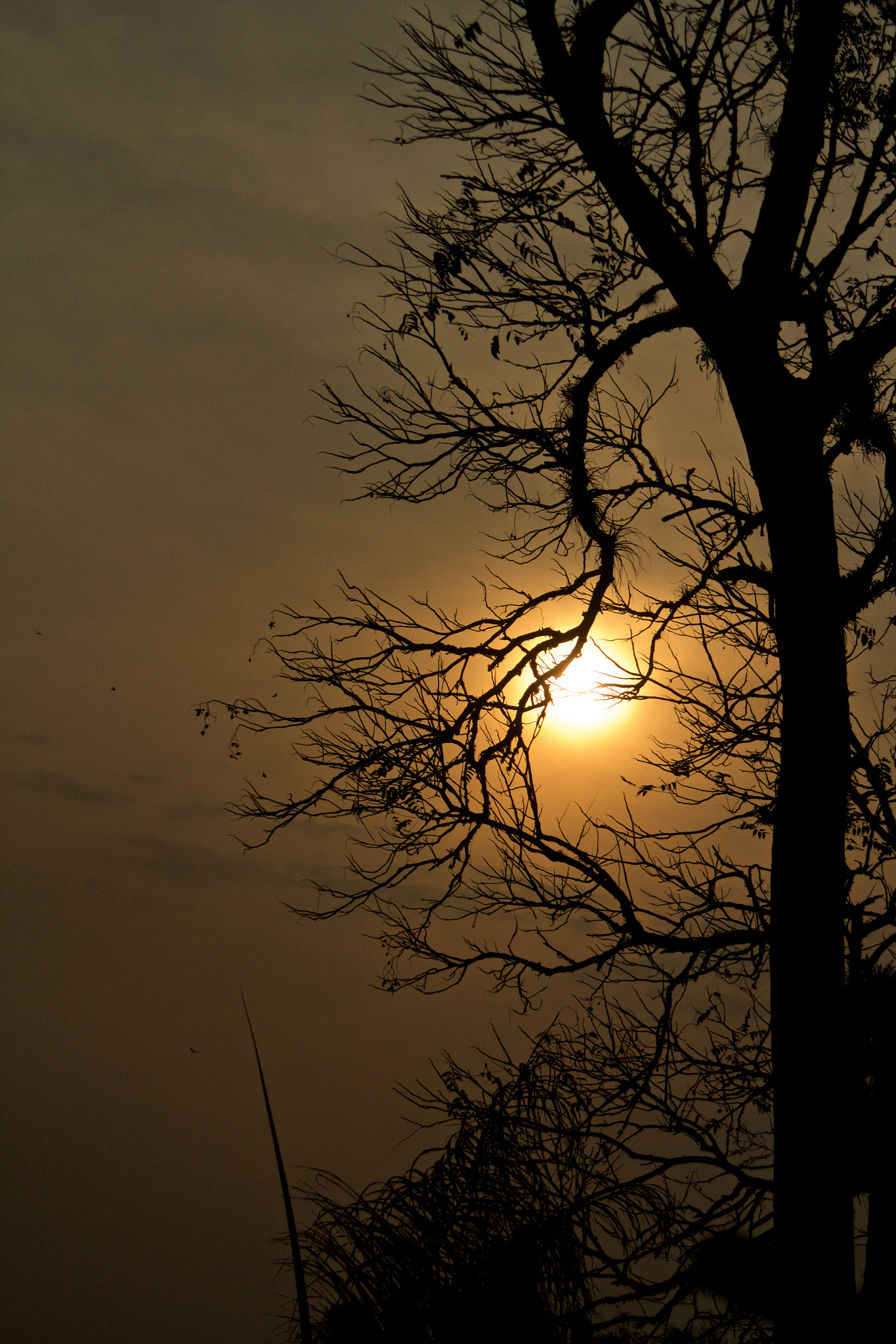 Canon EF 35-105mm f/4.5-5.6 sample photo. Atardecer en los altos mirandinos photography