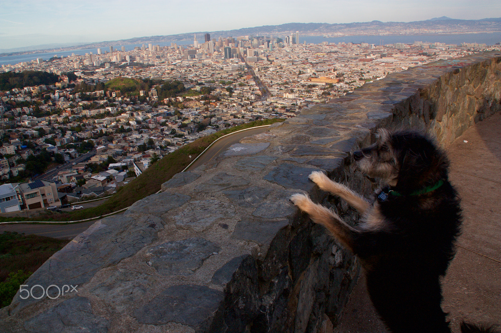 Canon EOS 450D (EOS Rebel XSi / EOS Kiss X2) sample photo. Wagner enjoys the view photography