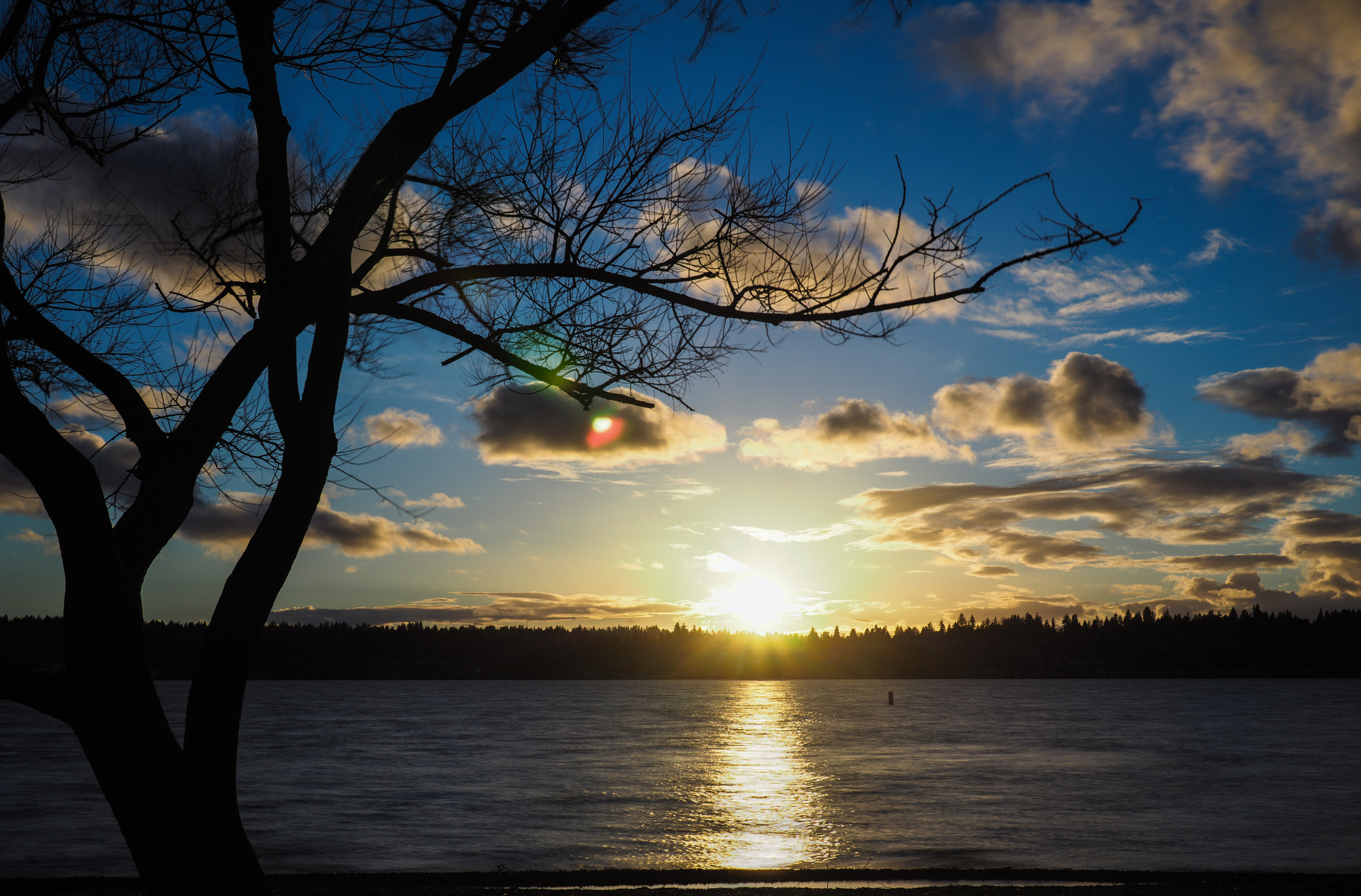 Olympus OM-D E-M5 II + Panasonic Lumix G 20mm F1.7 ASPH sample photo. Sunset at o. o. denny park photography