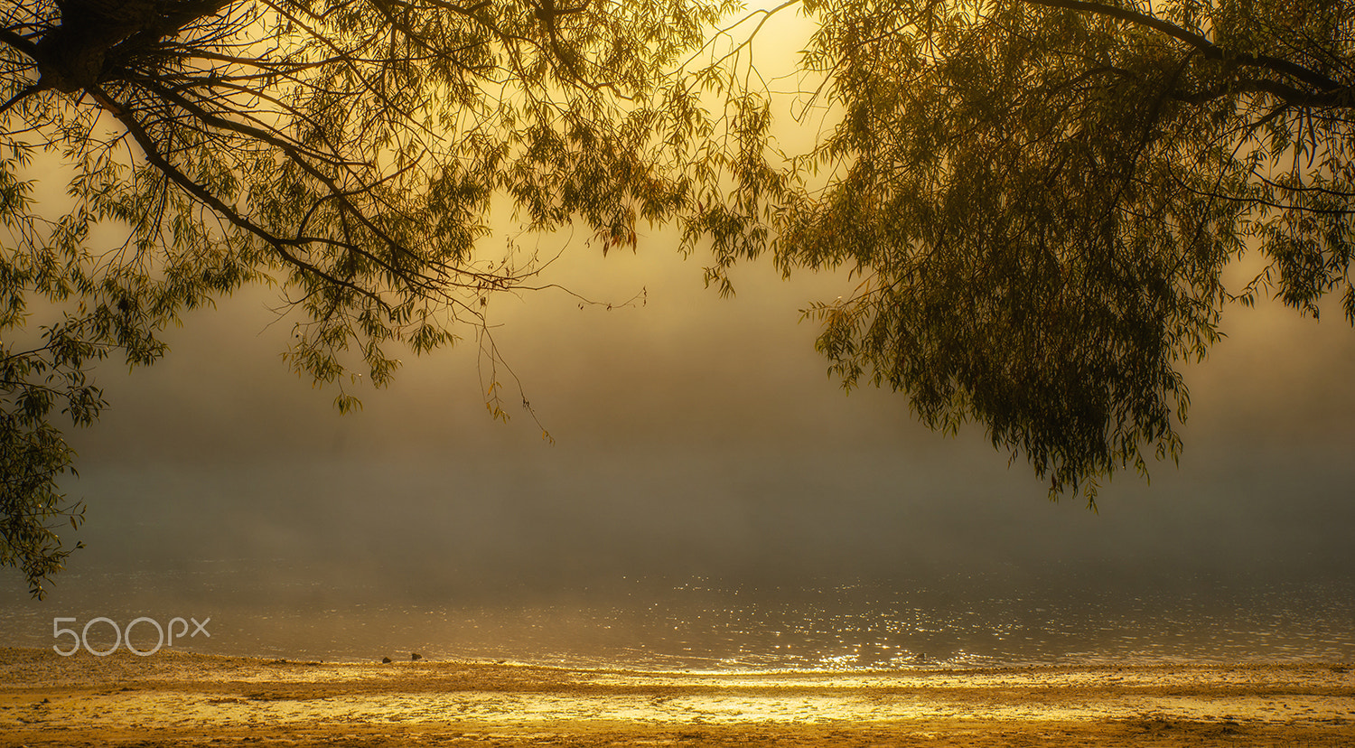 Tamron SP 24-70mm F2.8 Di VC USD sample photo. Riverside photography