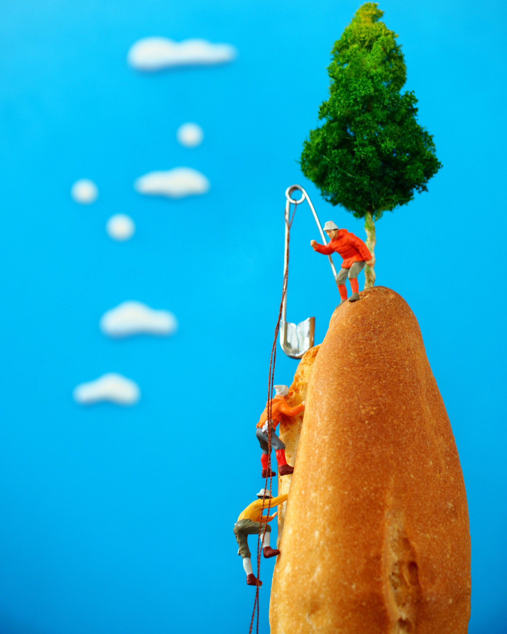 Panasonic Leica DG Macro-Elmarit 45mm F2.8 ASPH OIS sample photo. Baguette climbers. photography