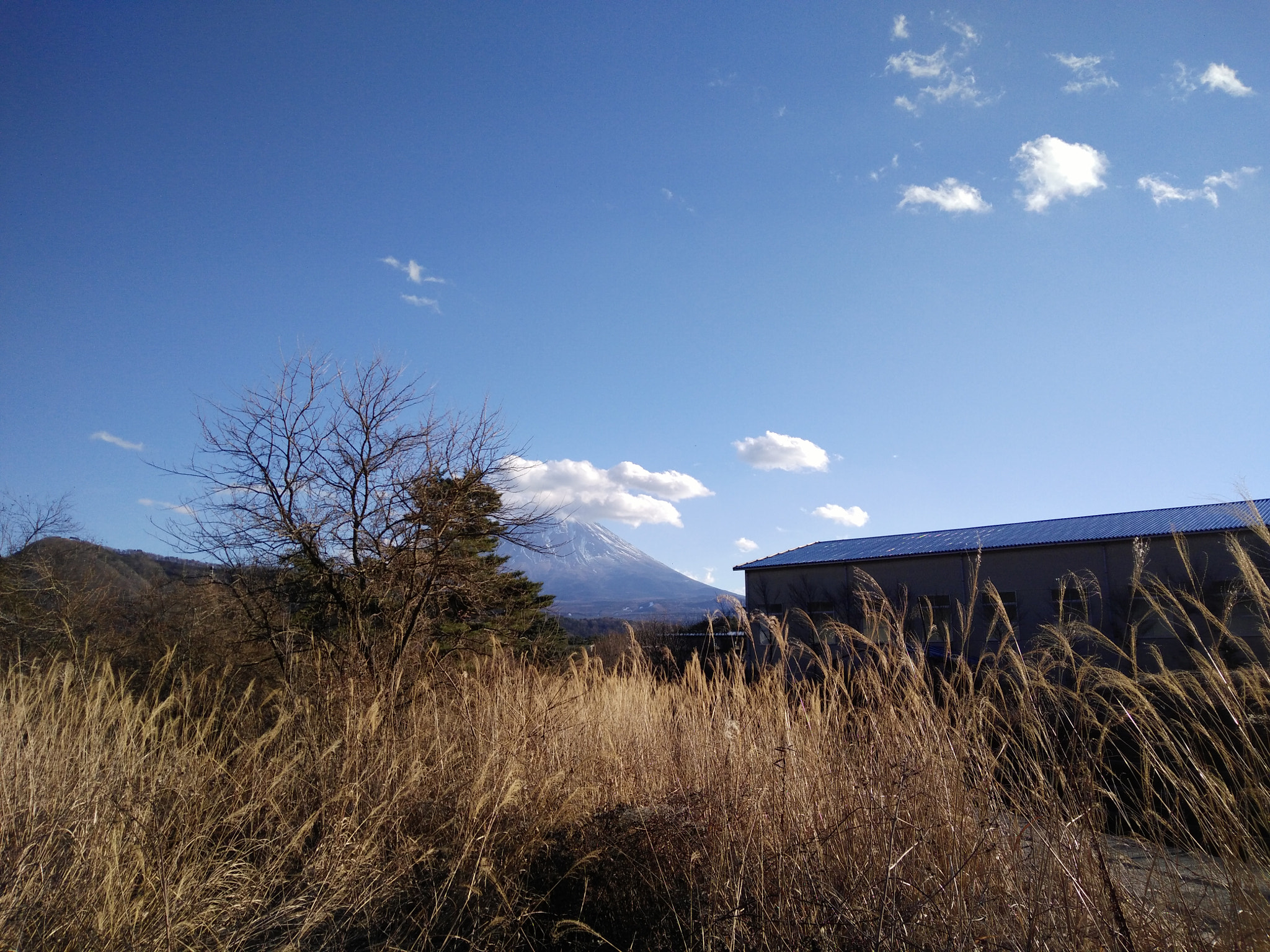 OPPO R7 Lite sample photo. Hello fujisan photography