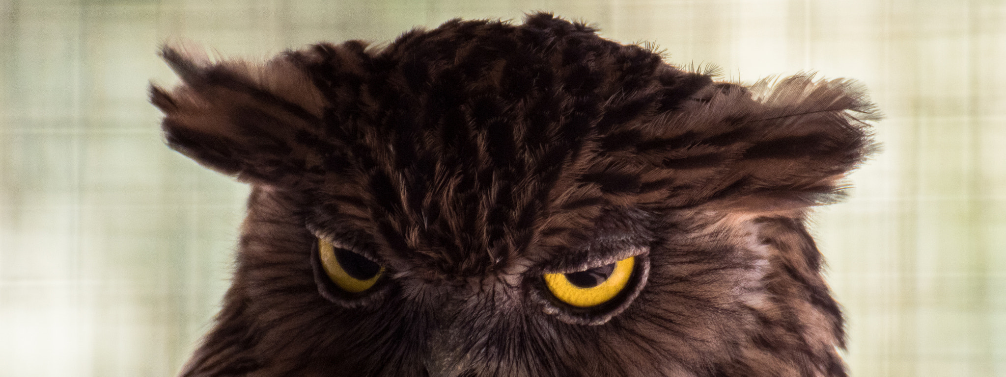 Tamron SP 35mm F1.8 Di VC USD sample photo. Looking in my eyes photography