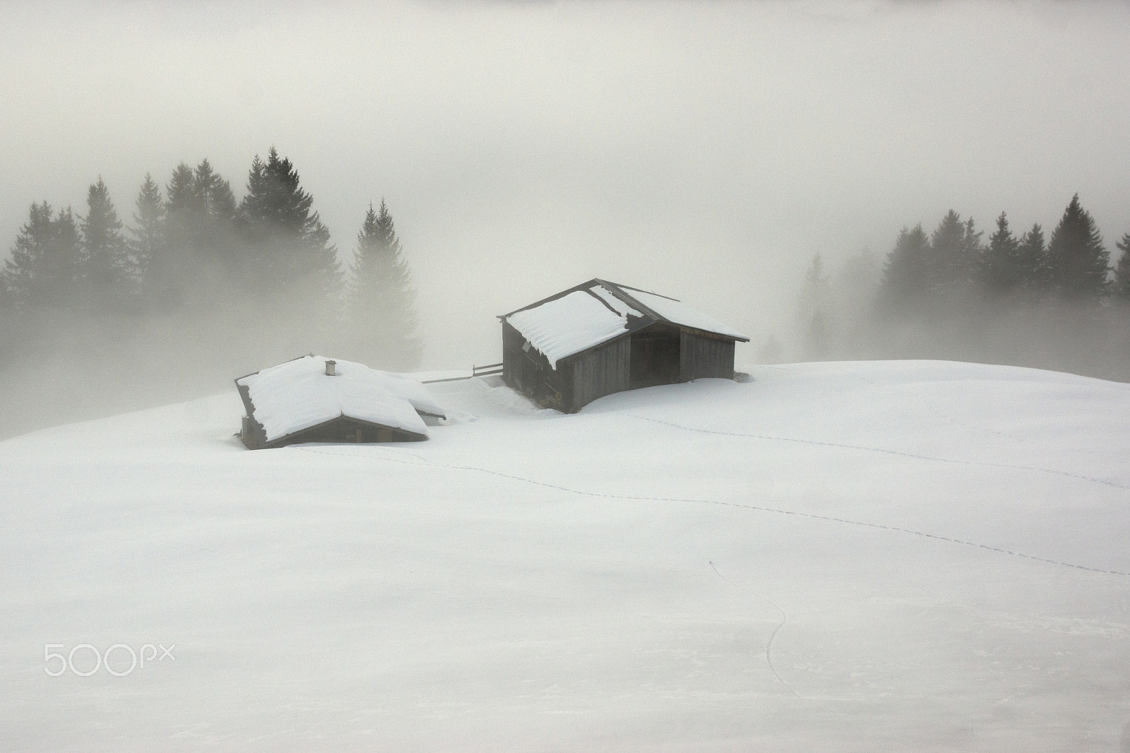 Sigma 17-70mm F2.8-4 DC Macro HSM sample photo. The silent season photography
