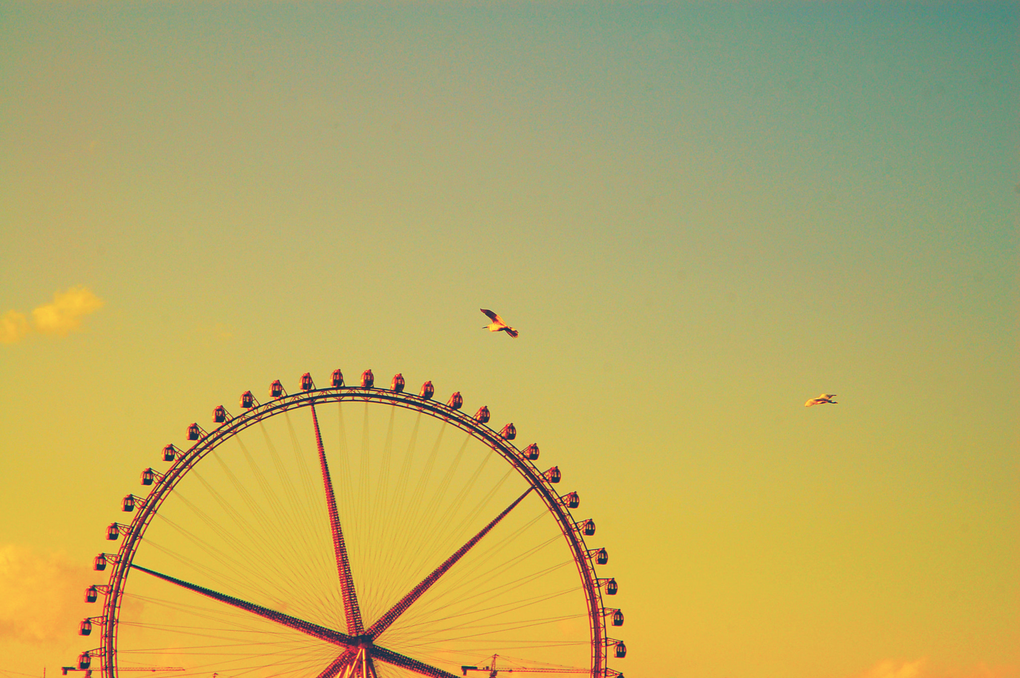 Nikon D50 + Sigma 28-105mm F2.8-4 Aspherical sample photo. Ferris wheel photography