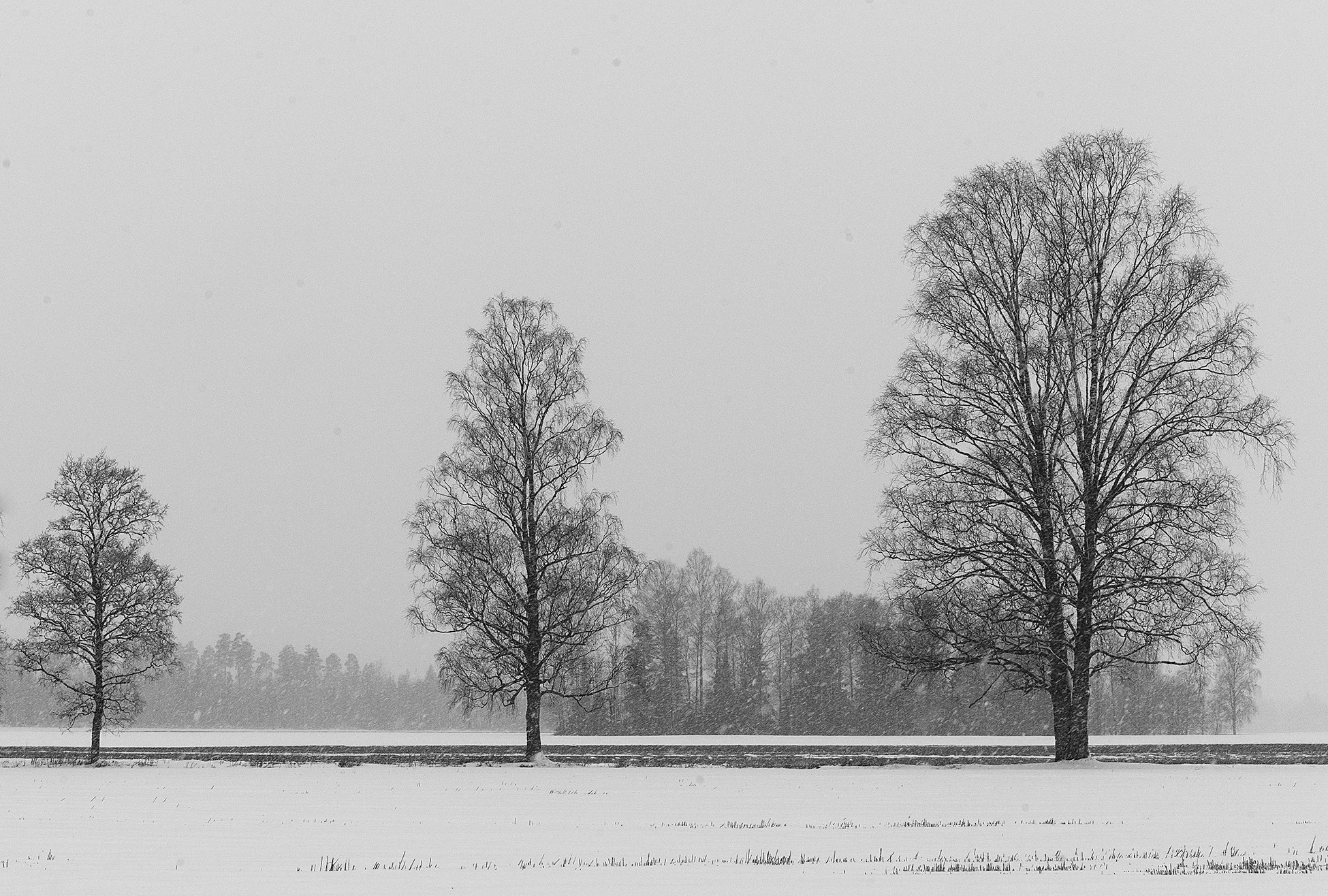 Leica M9 + Noctilux-M 50mm f/1 sample photo. L1013560-1.jpg photography