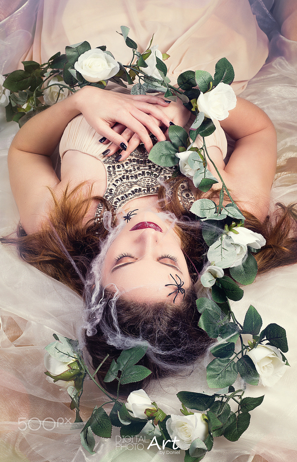 Sigma 50mm F1.4 EX DG HSM sample photo. A sleeping beauty photography