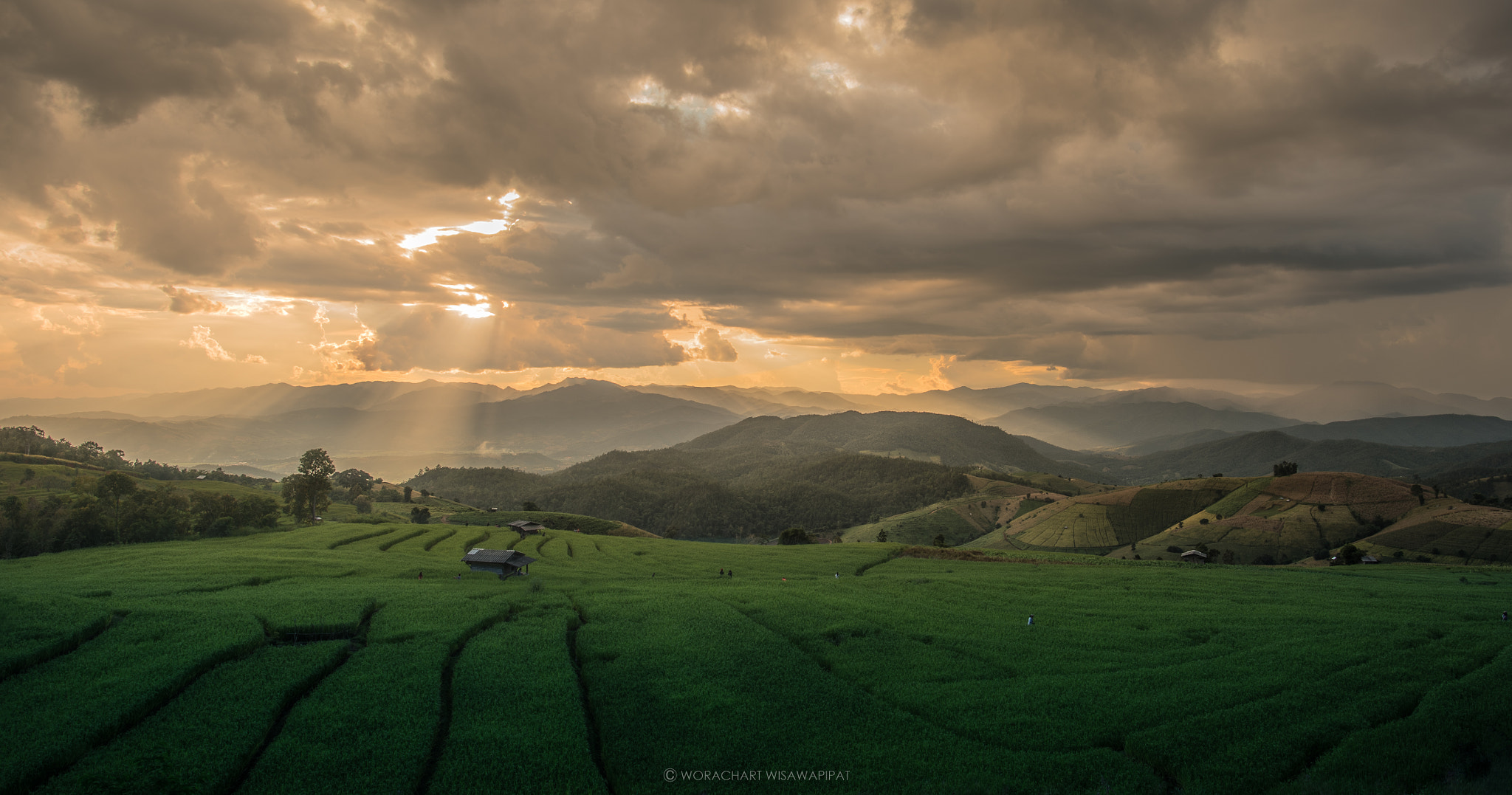 Nikon Df + Nikon AF-S Nikkor 20mm F1.8G ED sample photo. Terraced rice fields, northern thailand photography