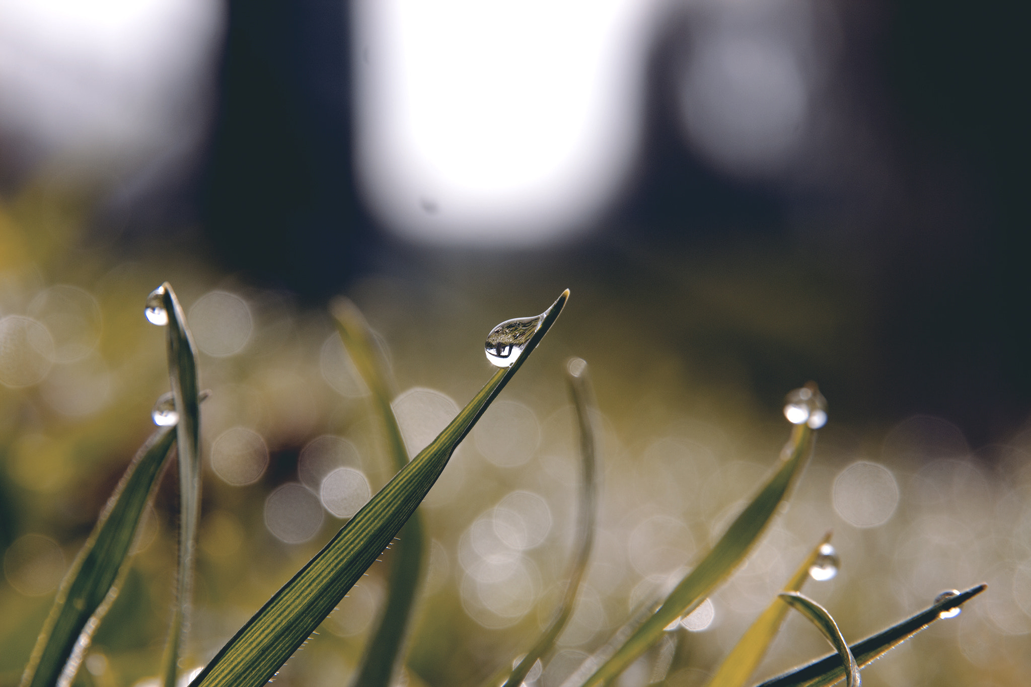 Sigma 17-70mm F2.8-4 DC Macro OS HSM sample photo. Water photography