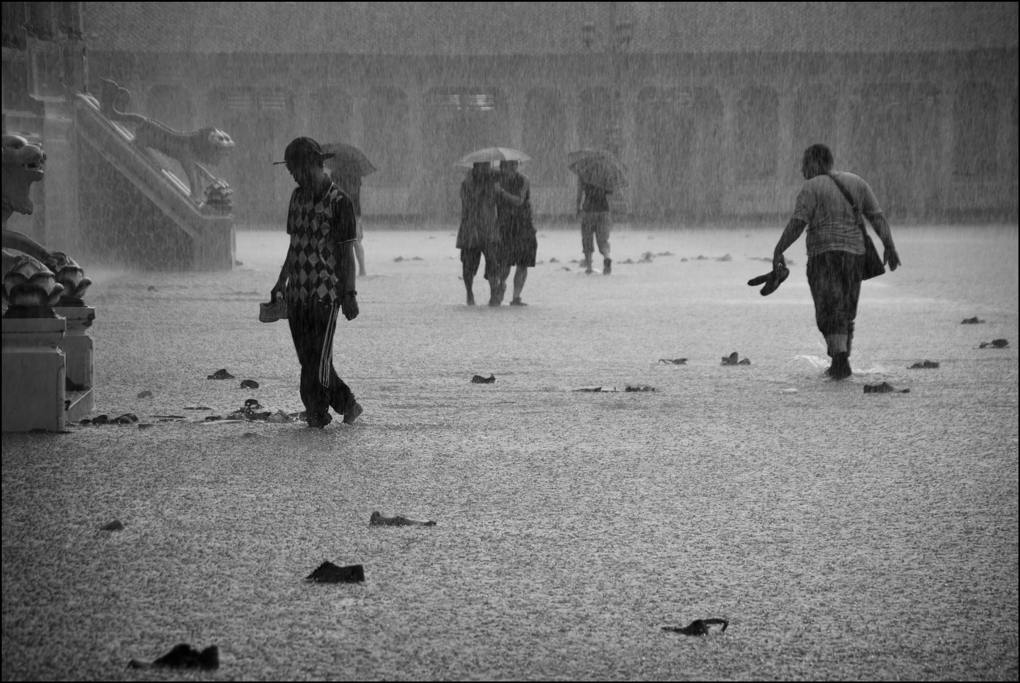 Sony Alpha DSLR-A230 + Sigma 18-200mm F3.5-6.3 DC sample photo. Rainy season photography