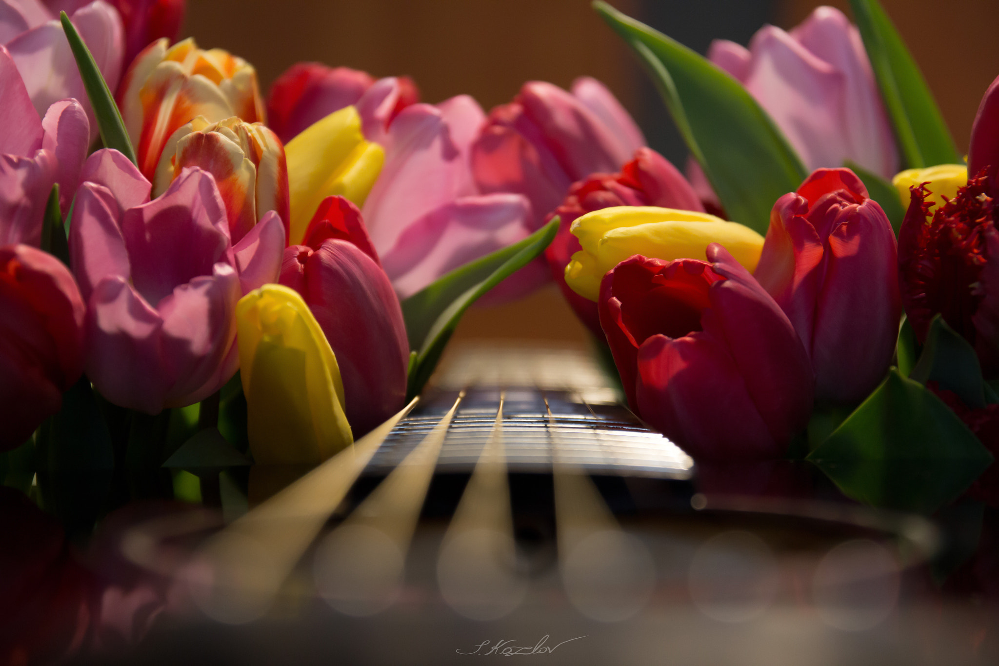 Canon EOS 60D + Canon EF 500mm F4L IS USM sample photo. Music of nature photography