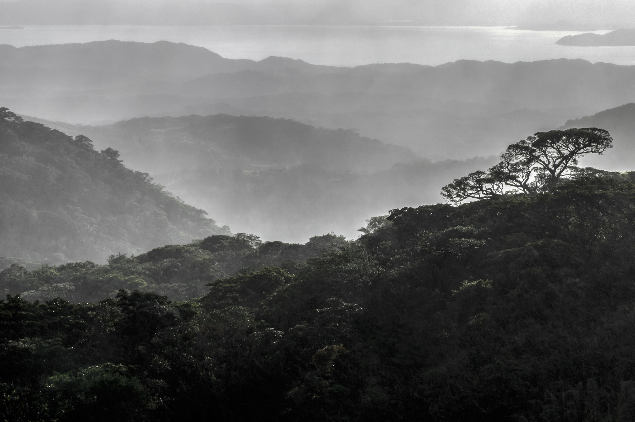 Pentax K-3 II + Tamron AF 28-75mm F2.8 XR Di LD Aspherical (IF) sample photo. Cloud forest monteverde photography